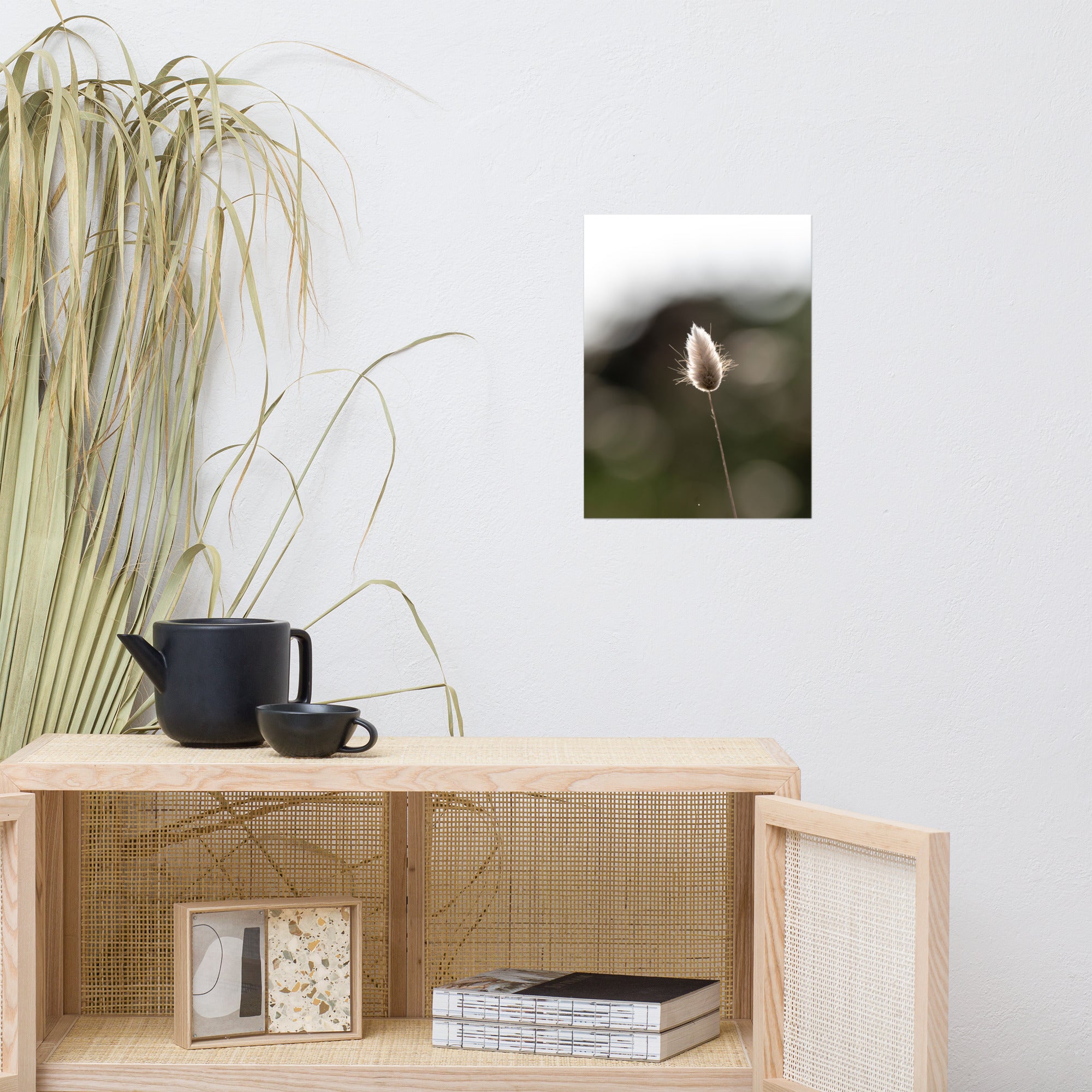 Photographie délicate 'Queue-de-lièvre', capturant de près la beauté et les détails fins d'une plante, créée par la photographe Yann Peccard.