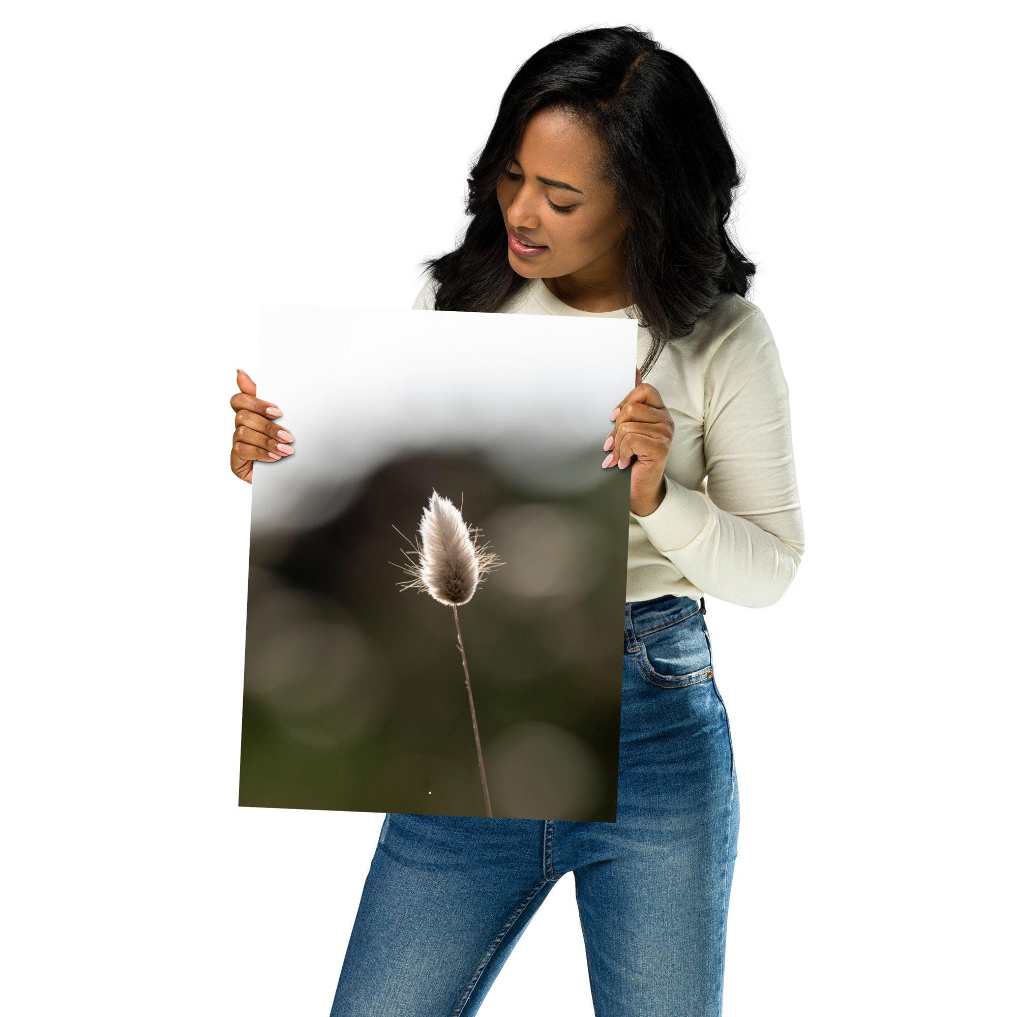 Photographie délicate 'Queue-de-lièvre', capturant de près la beauté et les détails fins d'une plante, créée par la photographe Yann Peccard.