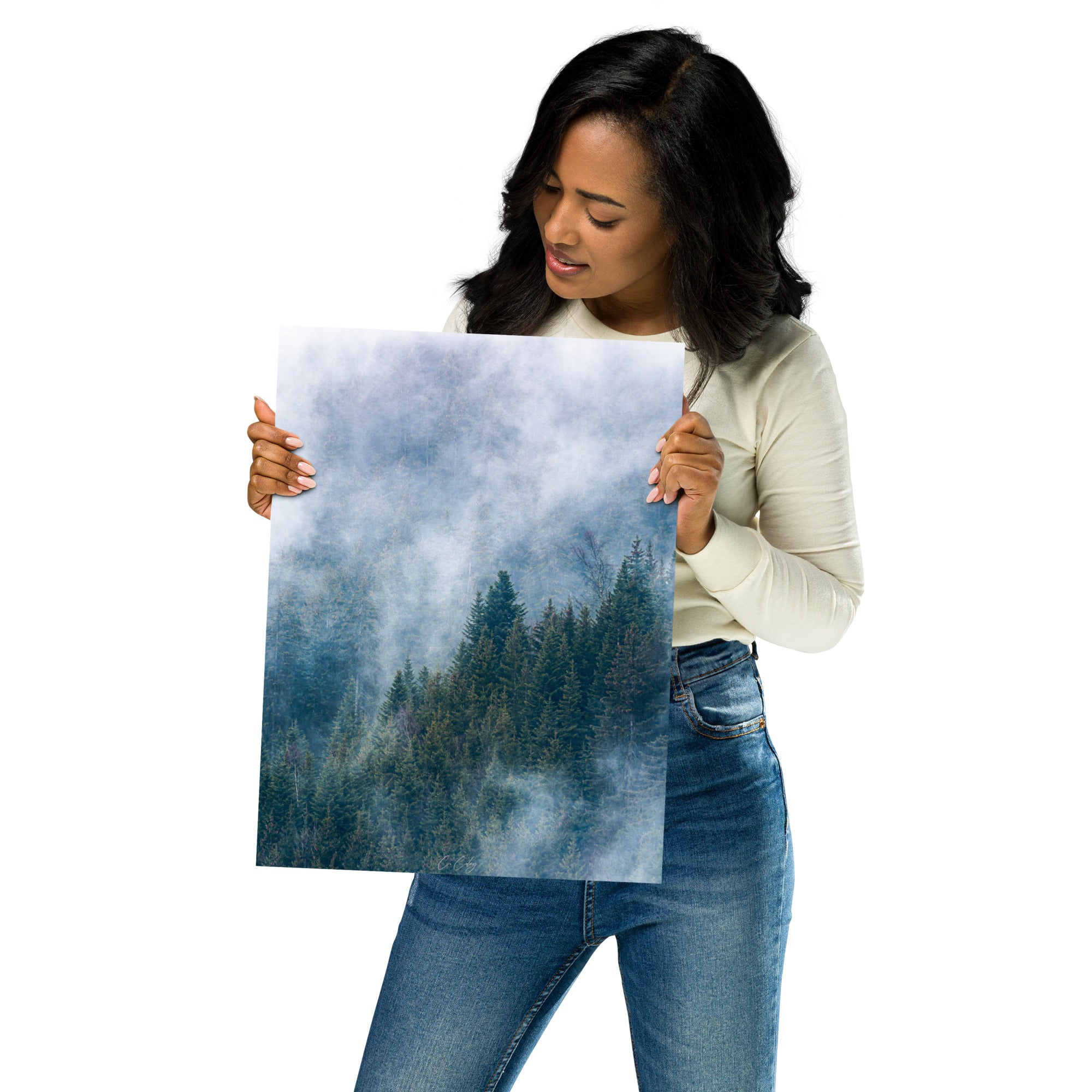 Vue aérienne d'une dense forêt de sapins enveloppée de nuages, capturée avec précision par Charles Coley, évoquant sérénité et mystère.