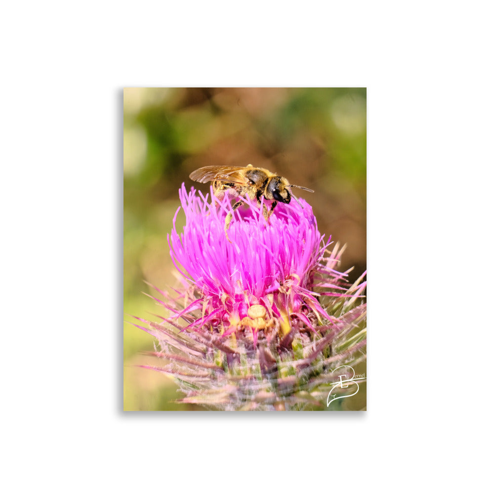 Photographie détaillée d'une abeille collectant du pollen sur une fleur de chardon marie, mettant en évidence la complexité de la nature, œuvre d'Eli Bernet.