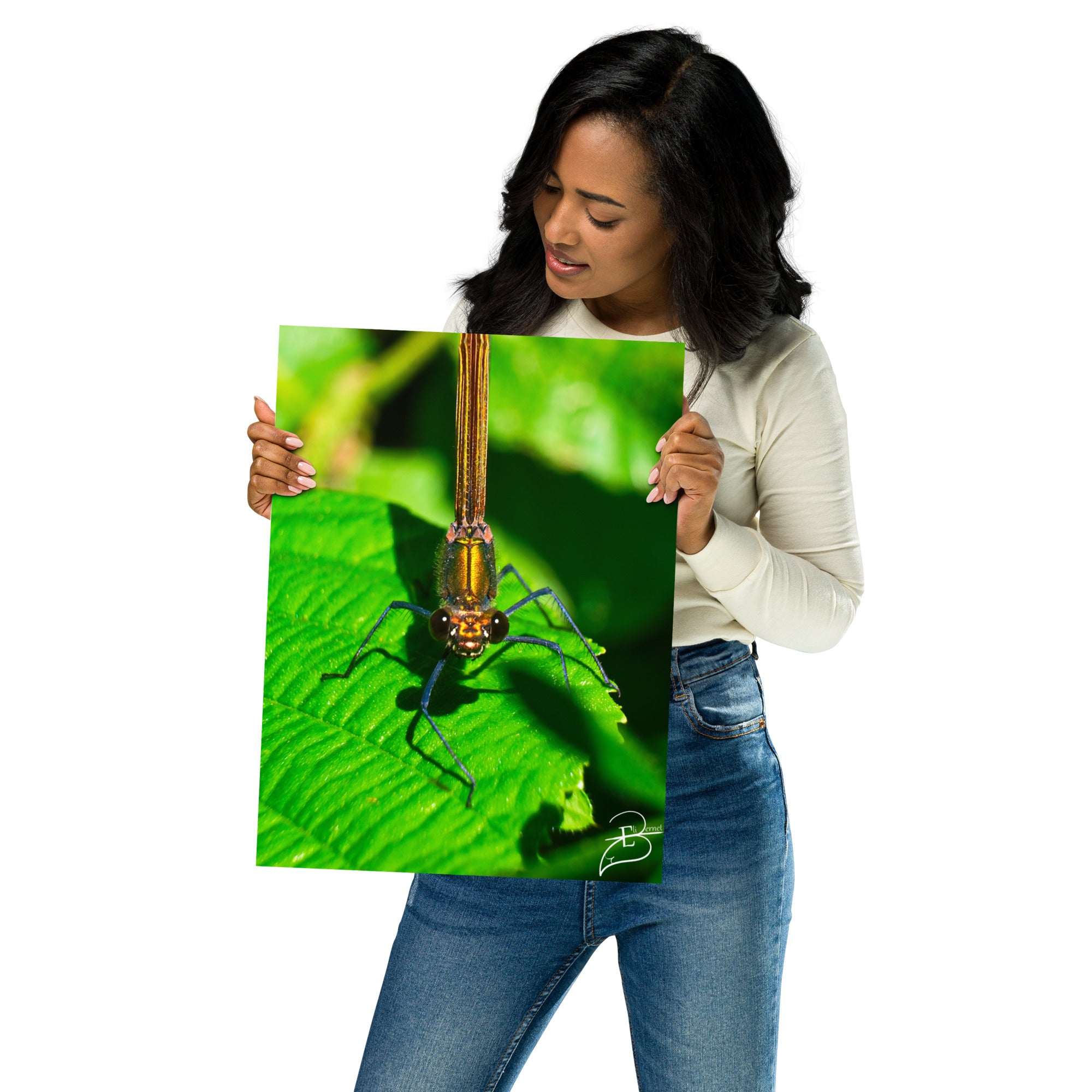 Photographie macro d'une femelle Libellule sur une feuille verte, les yeux fixant l'objectif, capturant la délicatesse de la nature, œuvre signée Eli Bernet.