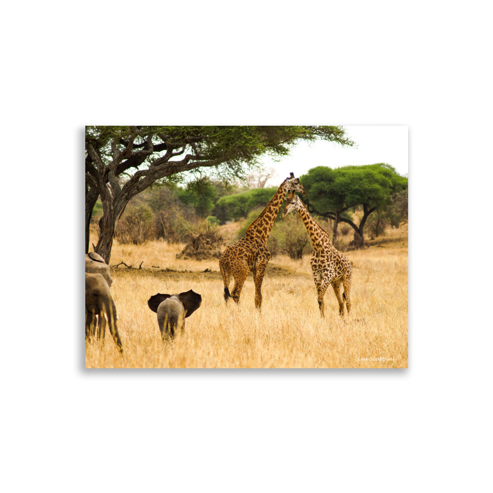 Poster "Savane" montrant un paysage africain avec des girafes et des éléphants, illustrant la beauté et la sérénité de la savane.