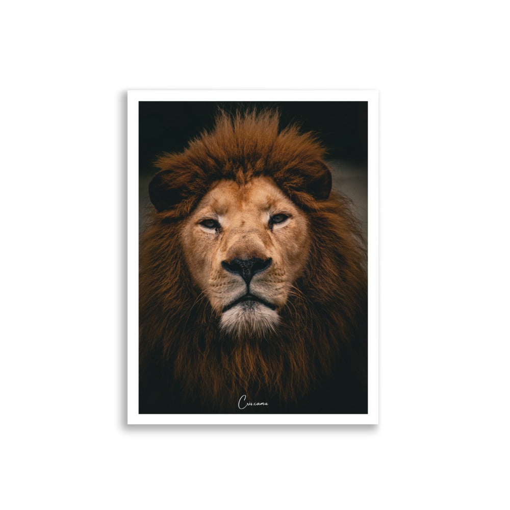 Poster Lion