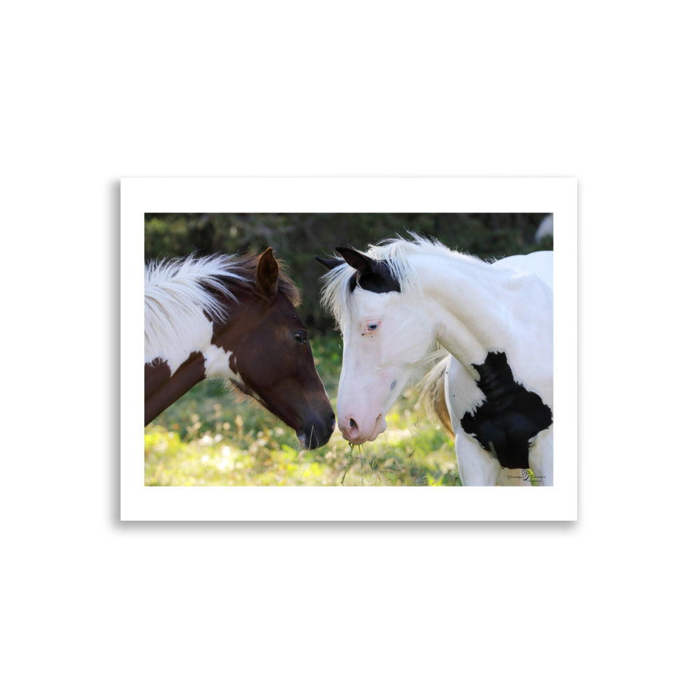 Posters de chevaux