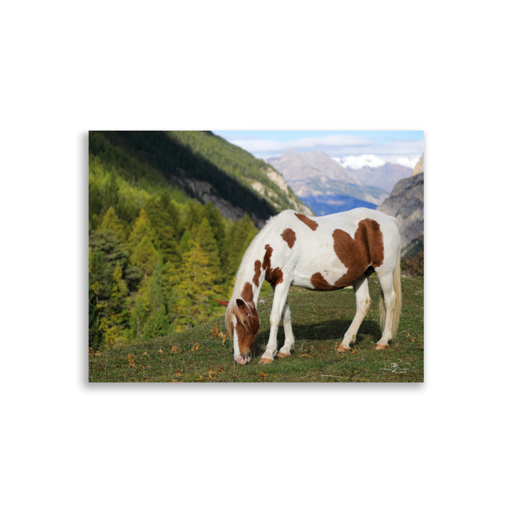 Poster de cheval