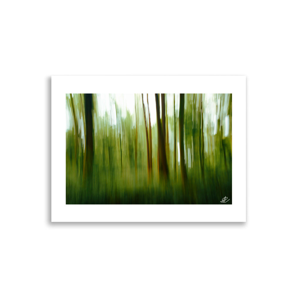 Poster Photo - Photographie artistique d'une forêt - Ilan Shoham - Affiche 30x40