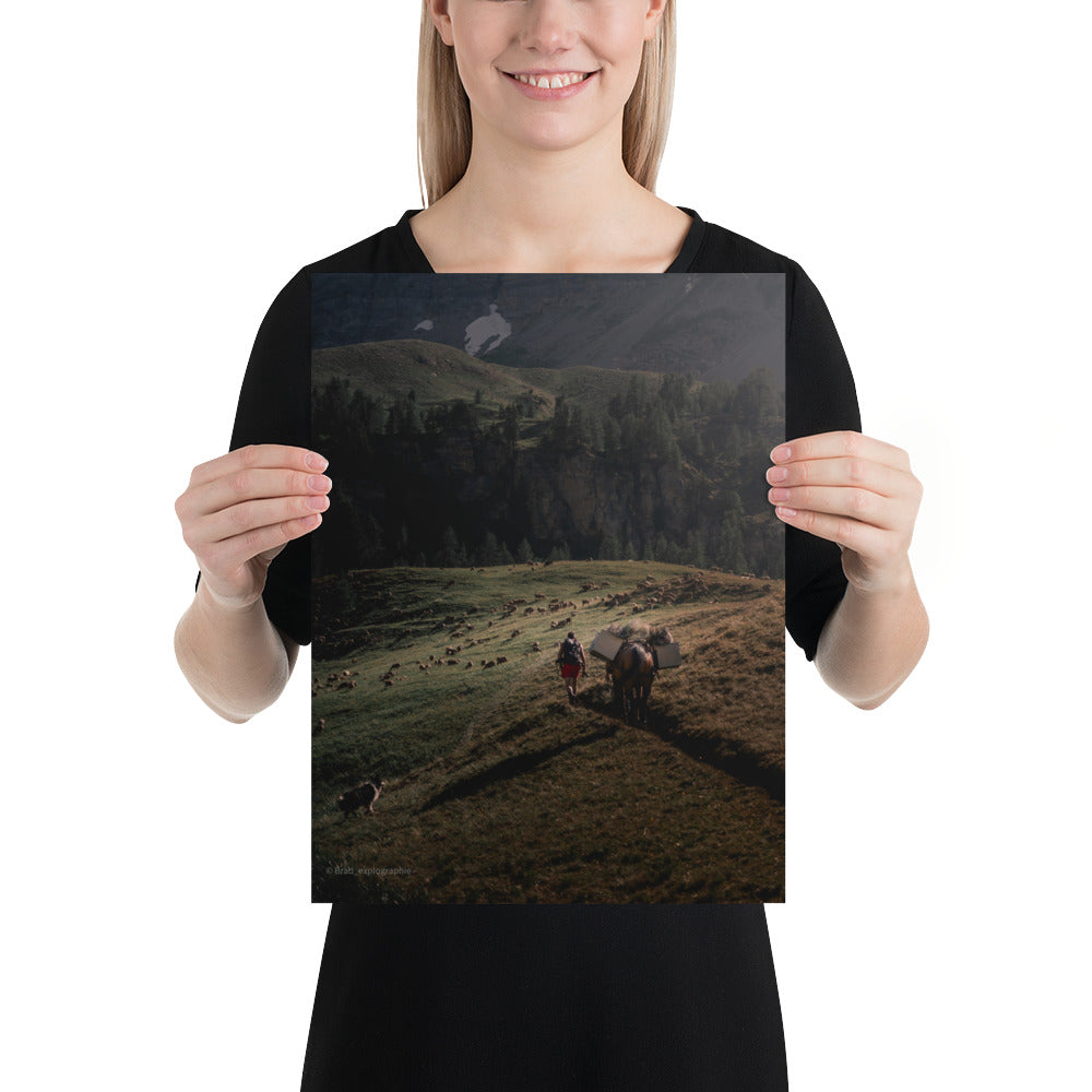 Une scène pittoresque de la nature avec un chien de berger, un cheval, un randonneur et un troupeau de moutons à la lumière du couchant, capturée par Brad_explographie.