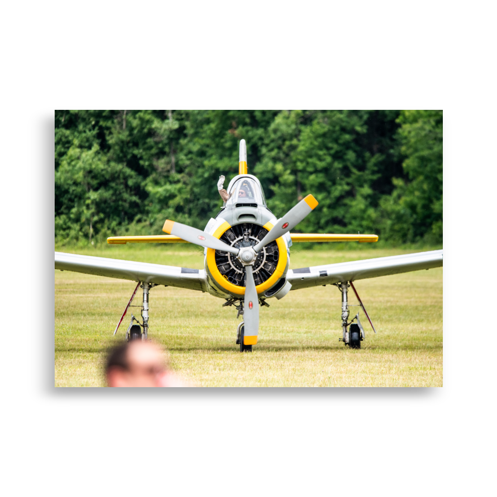 P-51 Mustang N02 - Poster mural