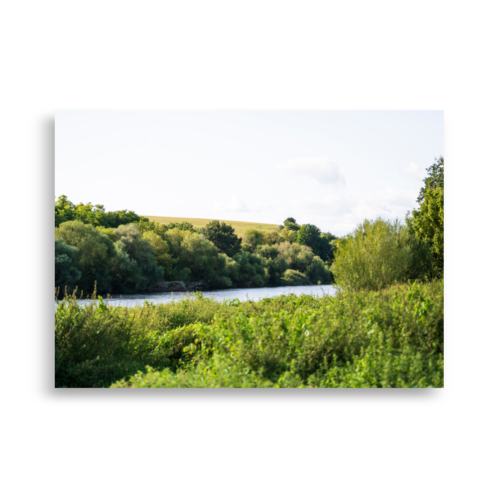 Affiche "Paysages Indre et Loire N02" représentant une belle vue sur la Loire avec des arbres et un champ