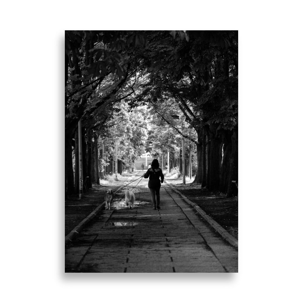 Photo de rue N24 - Promenade sereine d'une femme avec ses chiens sur l'Île aux Cygnes - La Boutique du Poster