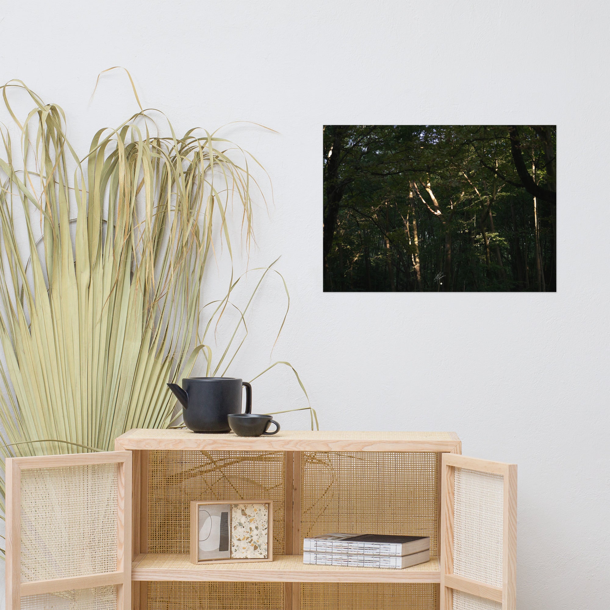 Photographie envoûtante d'une forêt dense, avec des rayons du soleil perçant la canopée, éclairant le sol forestier et les feuilles verdoyantes. Une évocation de la sérénité et de la beauté naturelle.