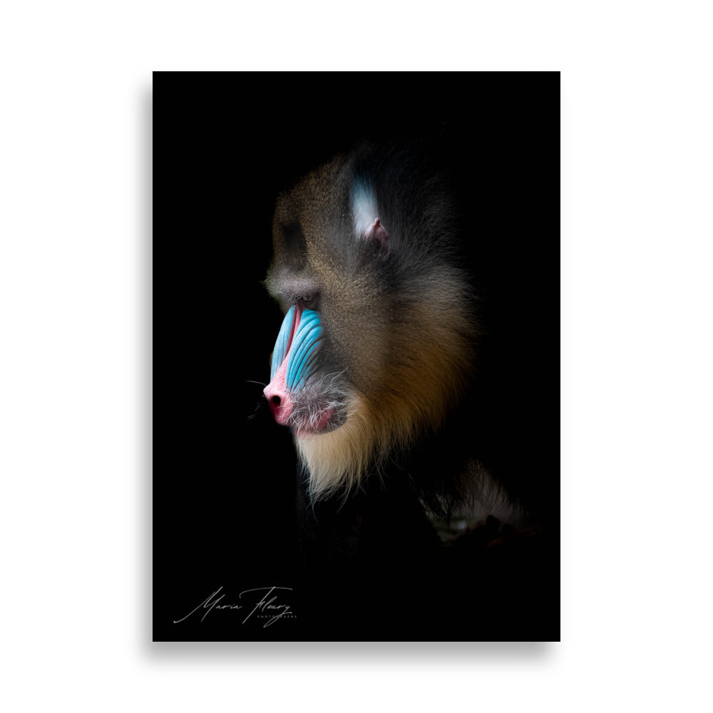 Portrait en profil d'un Mandrill aux couleurs vives, sur fond noir, œuvre artistique signée par Mademoiselle M et Maria Fleury.