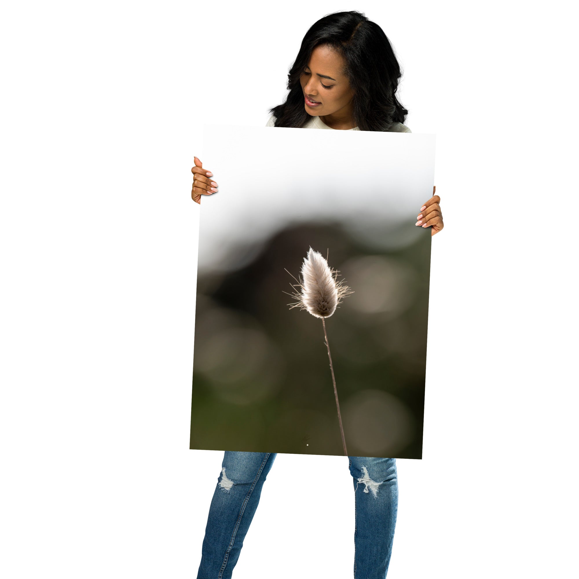 Photographie délicate 'Queue-de-lièvre', capturant de près la beauté et les détails fins d'une plante, créée par la photographe Yann Peccard.