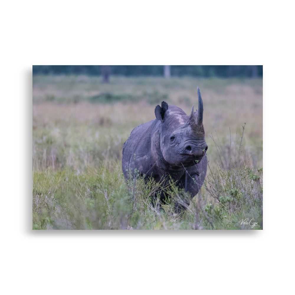 Image impressionnante d'un rhinocéros en silhouette dans la savane africaine, une œuvre de Valerie et Cyril BUFFEL, parfaite pour capturer l'essence de la nature brute et sauvage.