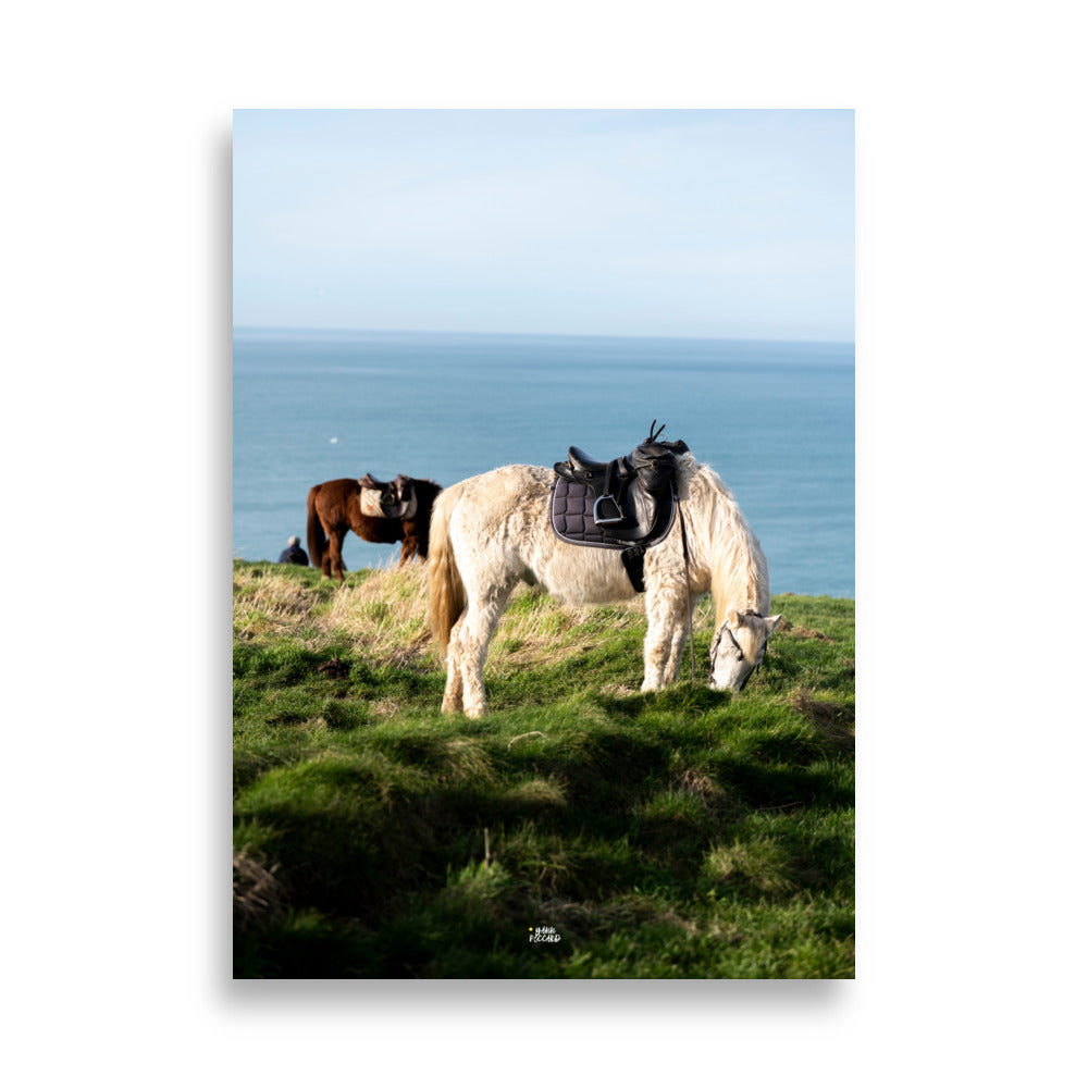 Photographie de cheveaux au bord de la mer