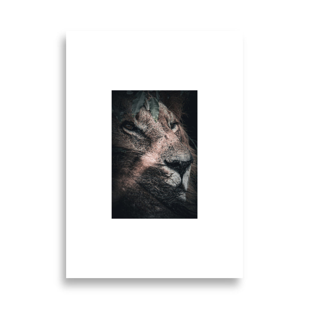 Poster animal sauvage