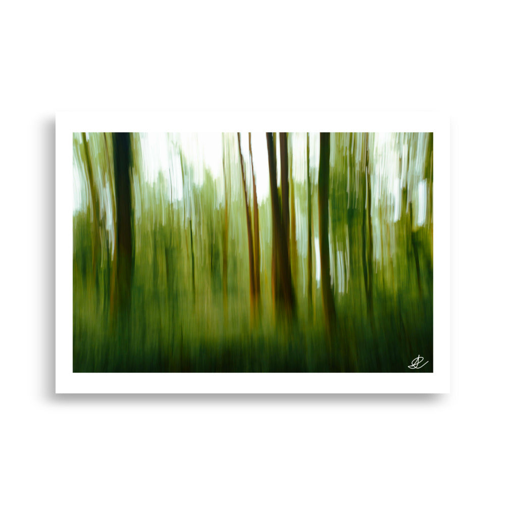 Poster Photo - Photographie artistique d'une forêt - Ilan Shoham - Affiche 50x70