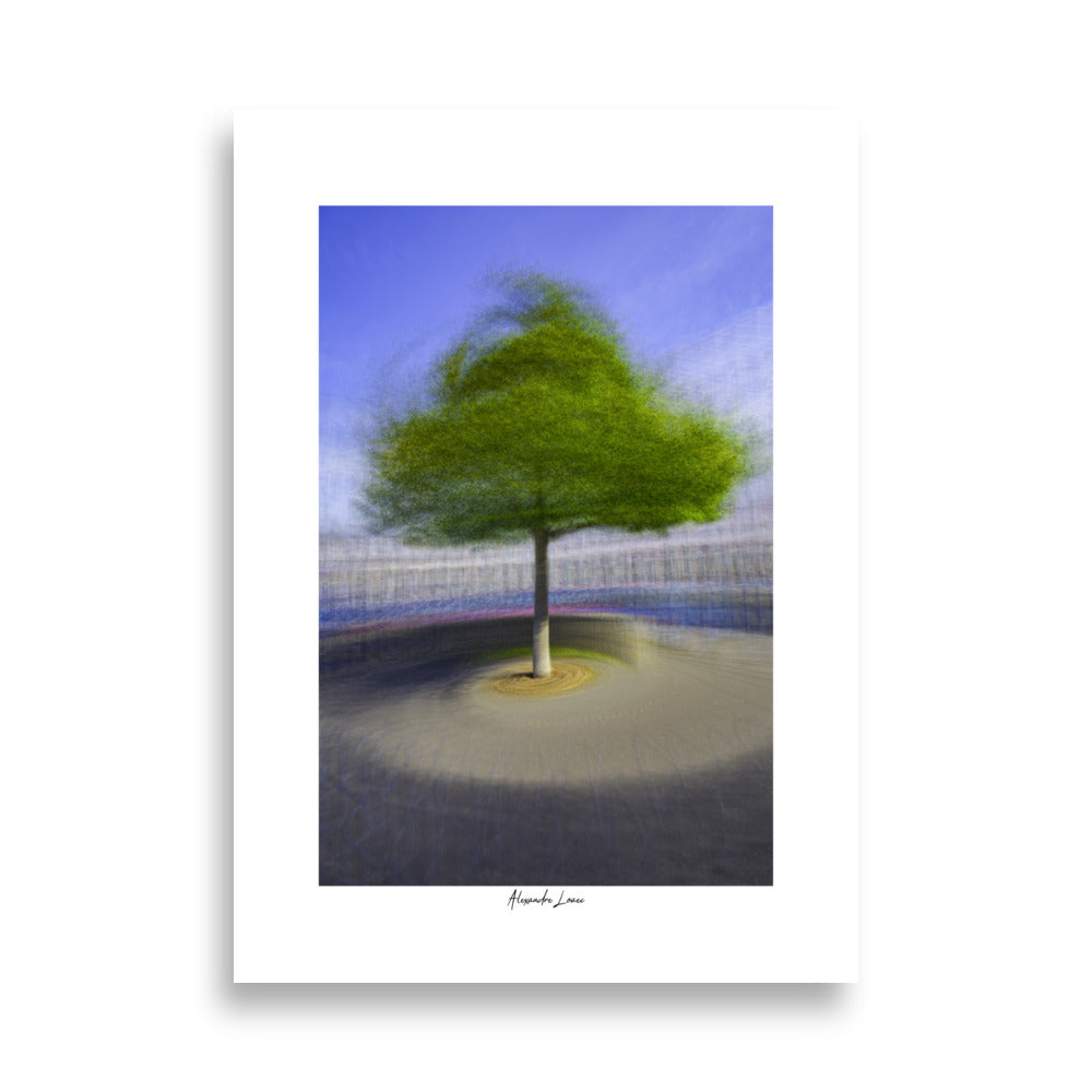 Poster photo - Arbre tournoyant - Alexandre Loaec - Affiche murale 50x70