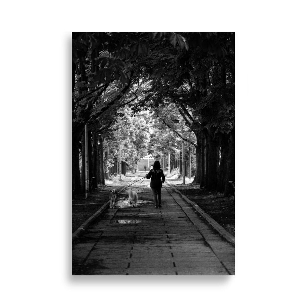 Photo de rue N24 - Promenade sereine d'une femme avec ses chiens sur l'Île aux Cygnes - La Boutique du Poster