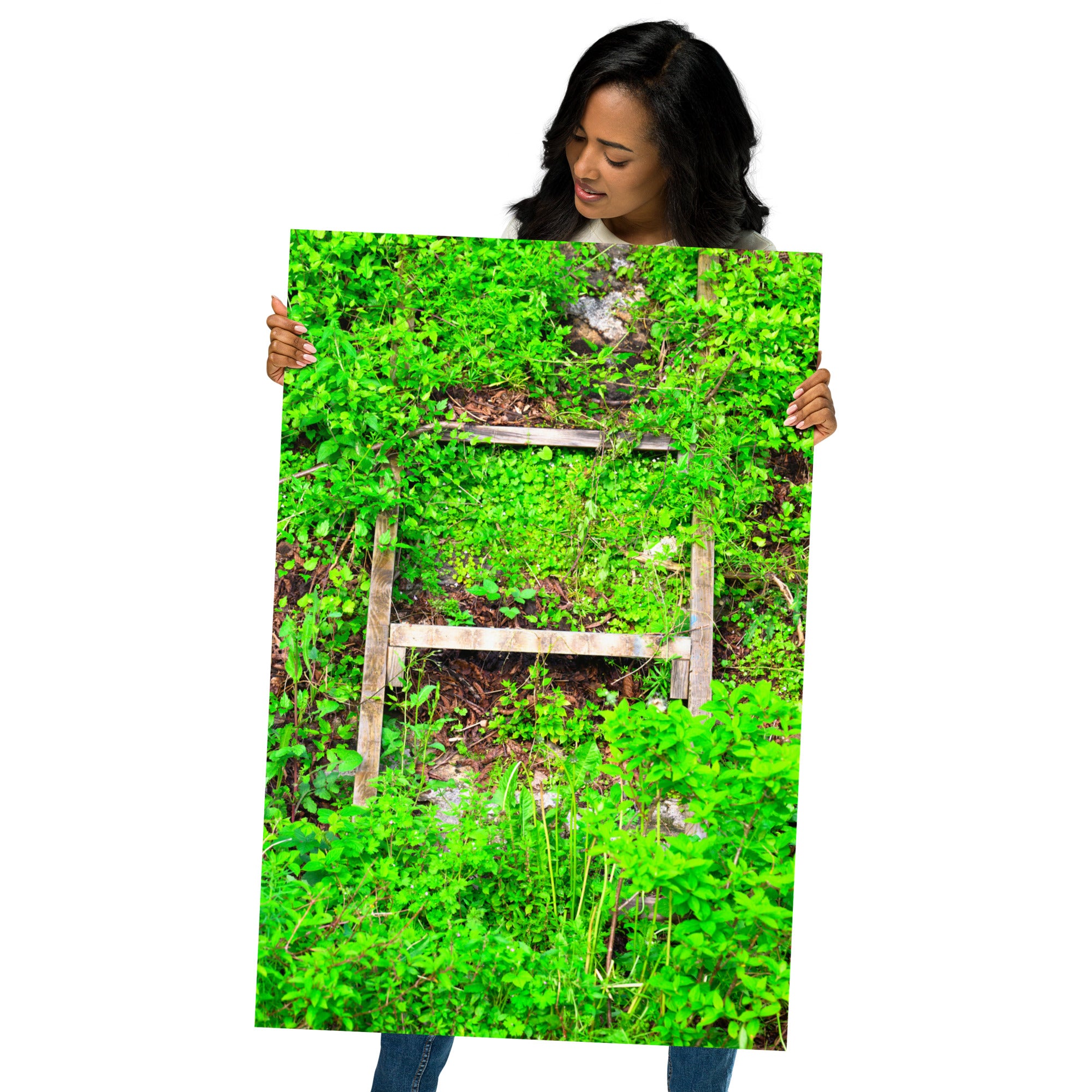 Poster Echelle Verdoyante, une photographie captivante d'une échelle envahie par la verdure, idéal pour les amoureux de la nature et ceux qui cherchent à créer une ambiance naturelle dans leur intérieur.