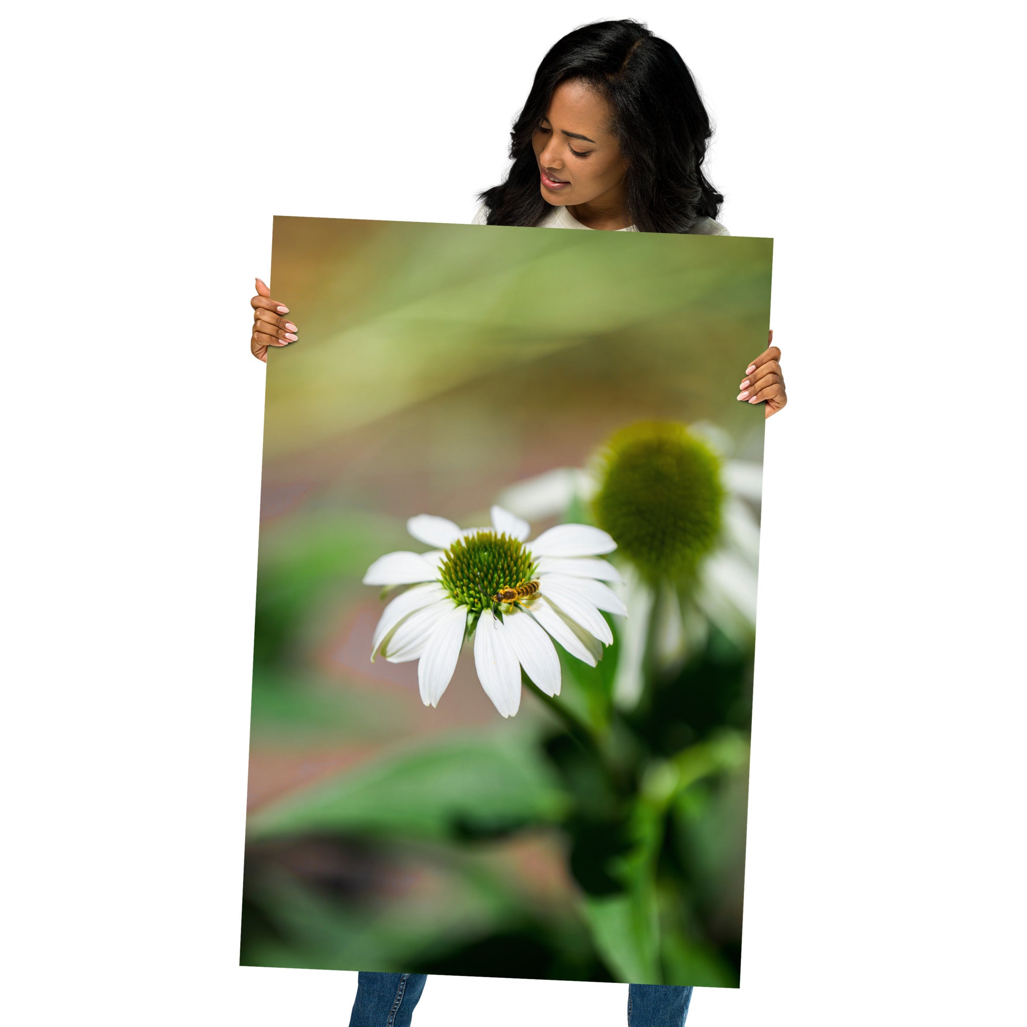 Poster 'Nature Éphémère' représentant une guêpe butinant le pollen d'une marguerite