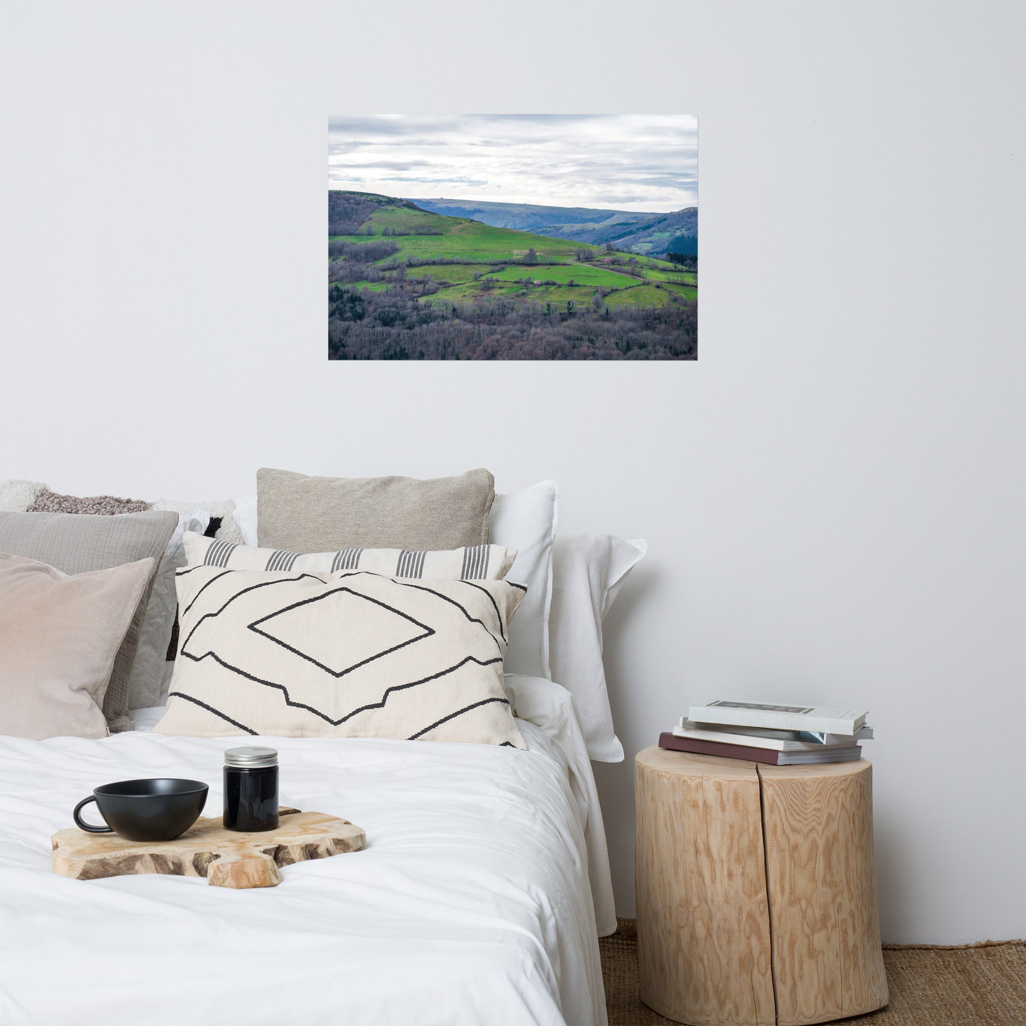 Paysage du Cantal : forêt dense à côté de prairies verdoyantes en haute altitude.