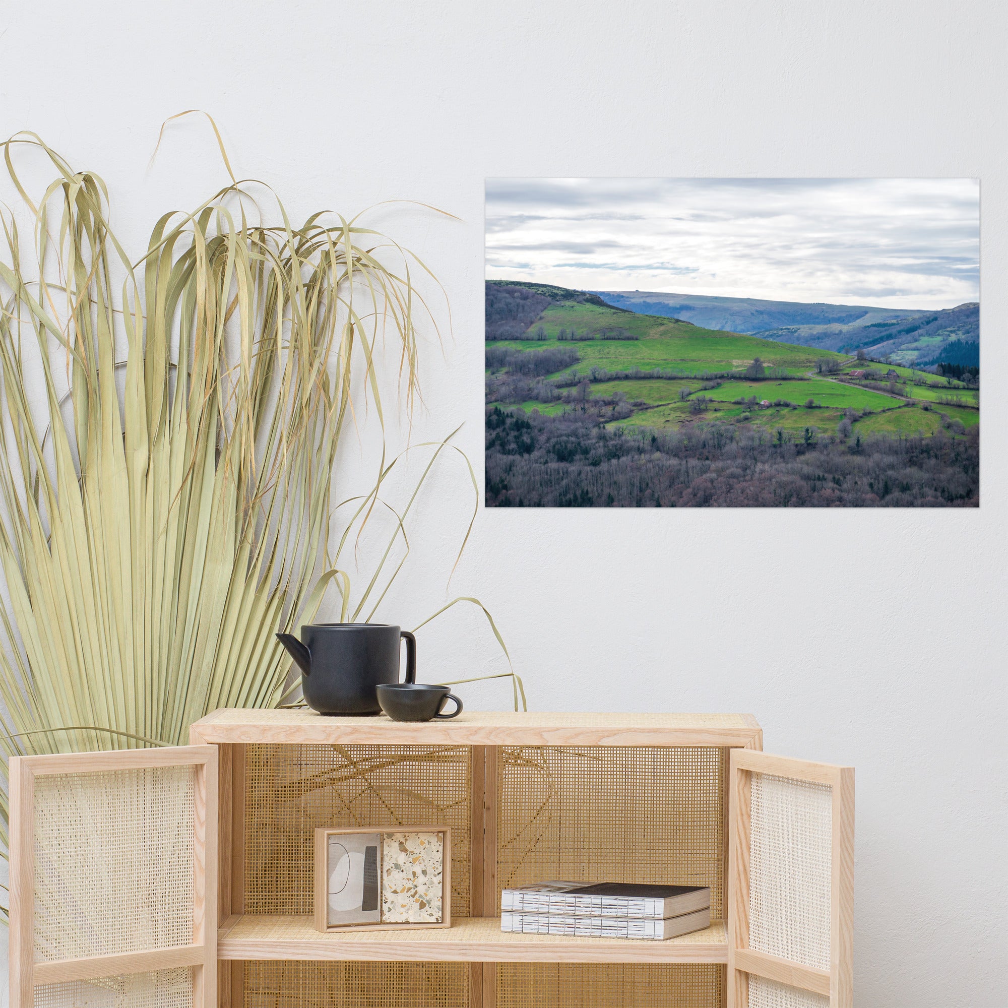 Paysage du Cantal : forêt dense à côté de prairies verdoyantes en haute altitude.