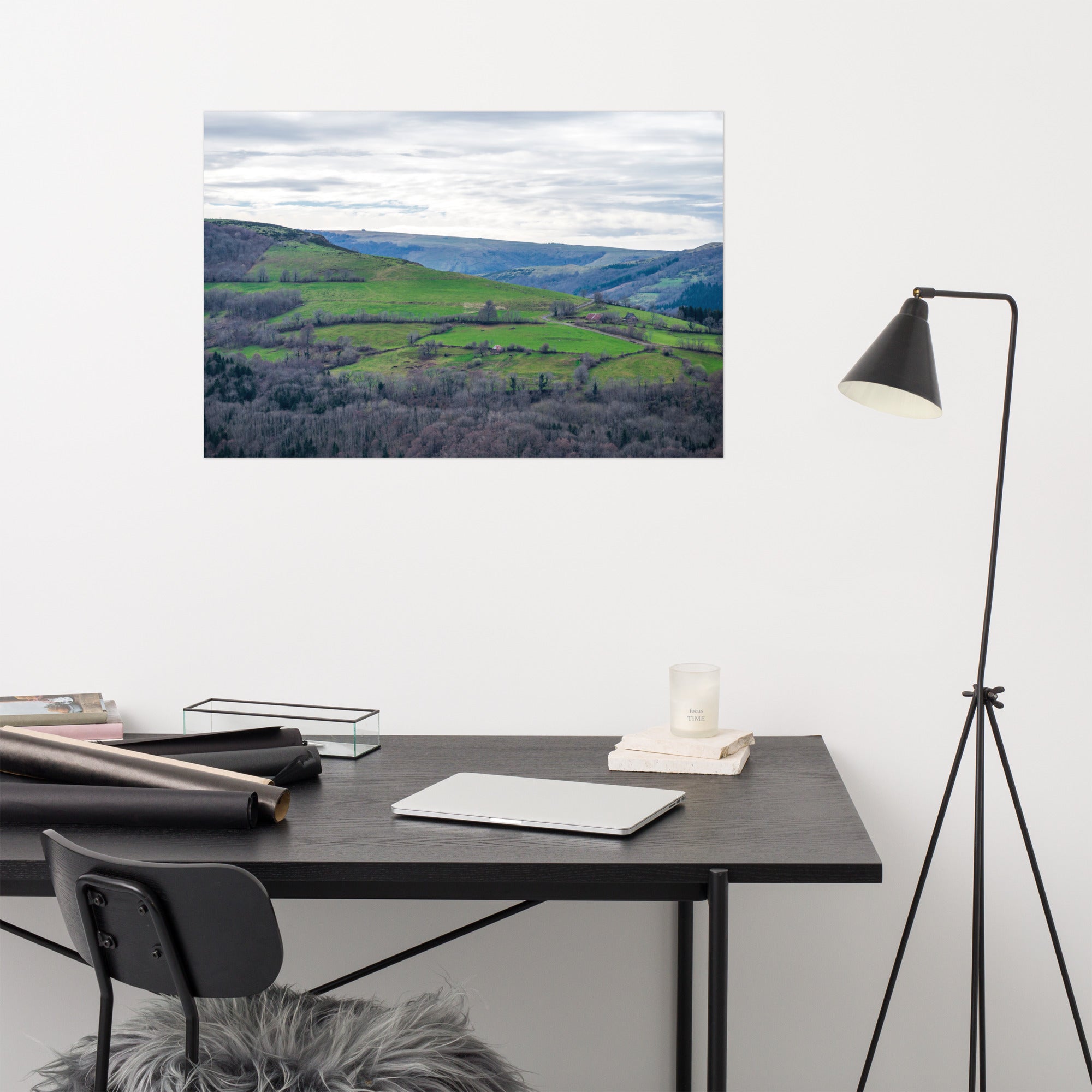 Paysage du Cantal : forêt dense à côté de prairies verdoyantes en haute altitude.