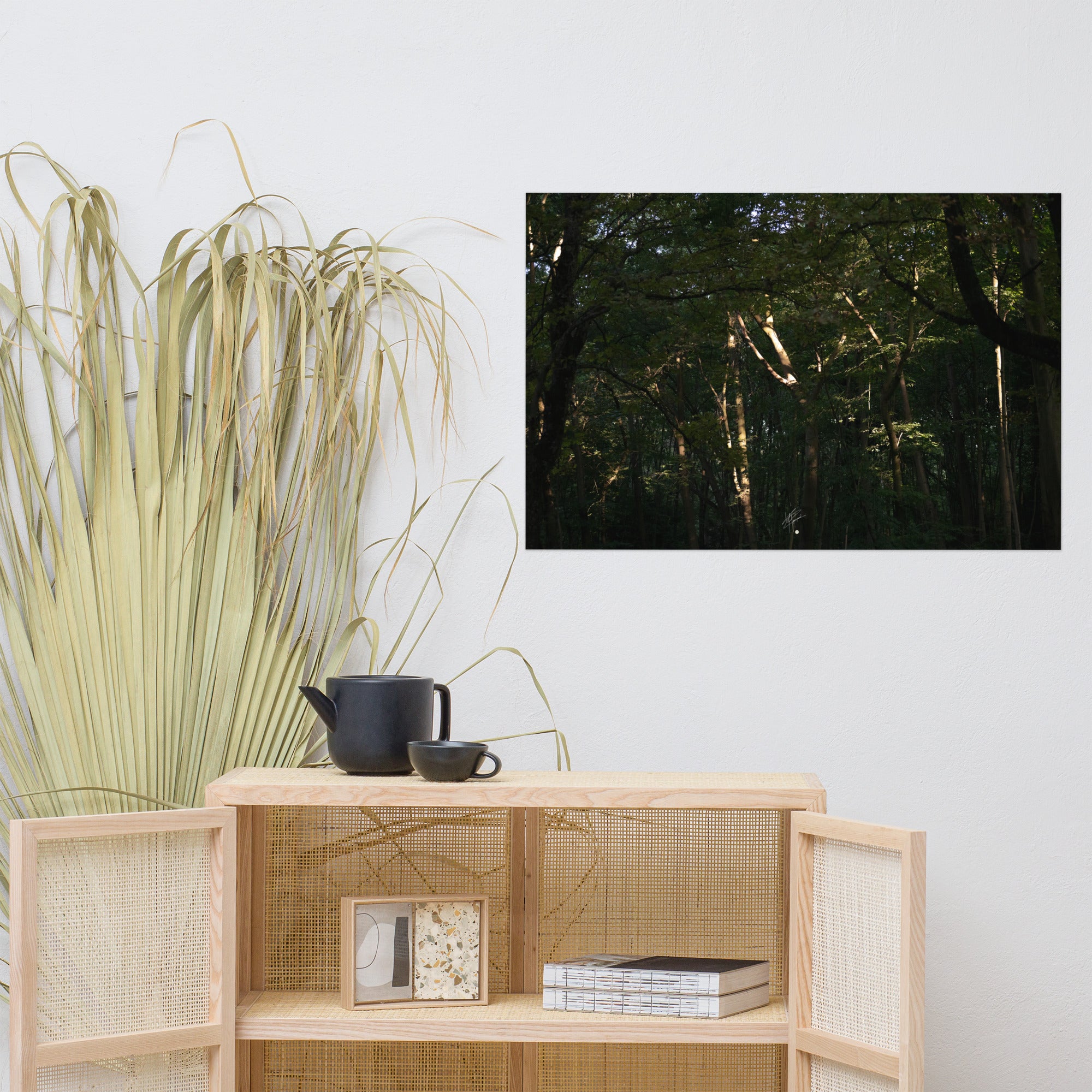 Photographie envoûtante d'une forêt dense, avec des rayons du soleil perçant la canopée, éclairant le sol forestier et les feuilles verdoyantes. Une évocation de la sérénité et de la beauté naturelle.