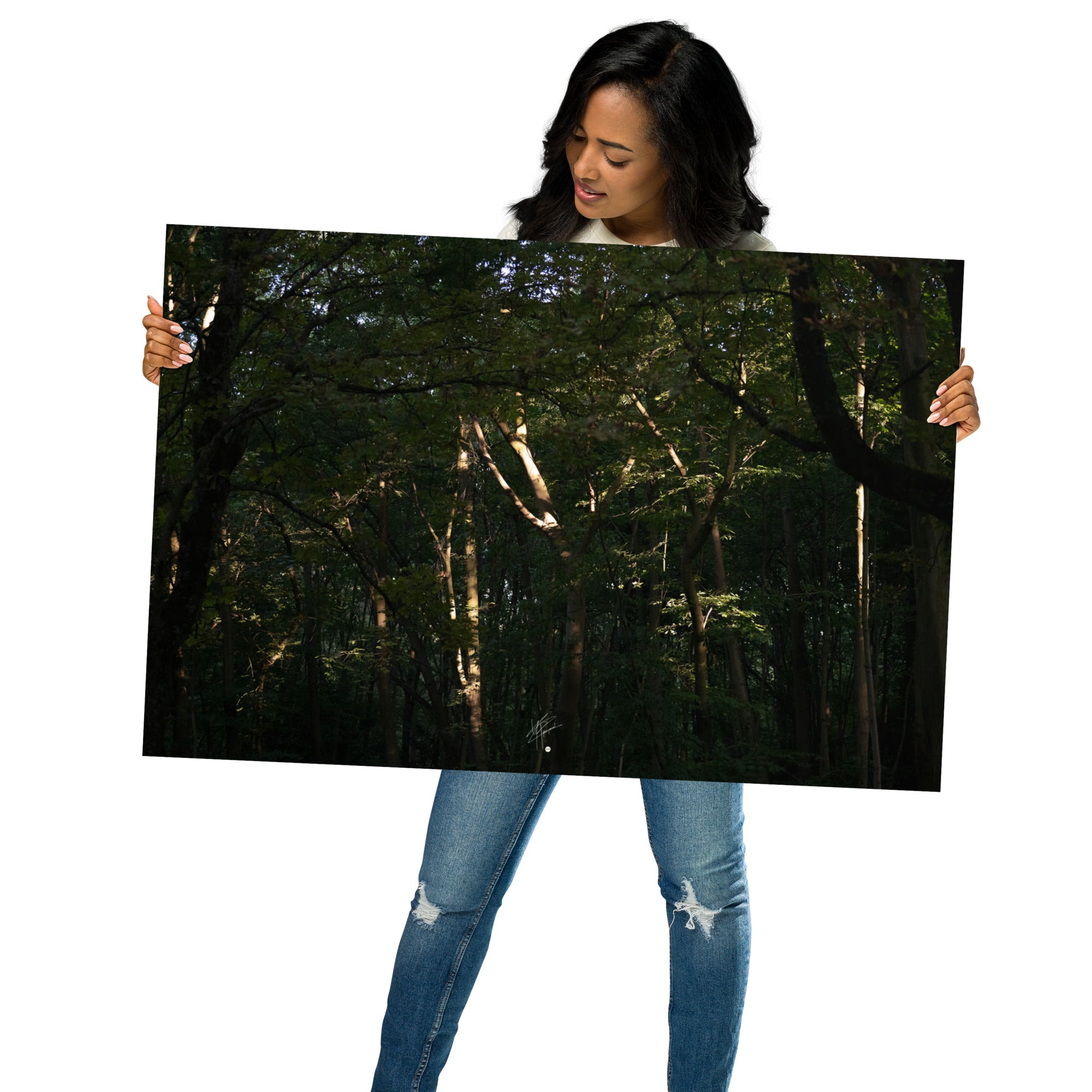 Photographie envoûtante d'une forêt dense, avec des rayons du soleil perçant la canopée, éclairant le sol forestier et les feuilles verdoyantes. Une évocation de la sérénité et de la beauté naturelle.