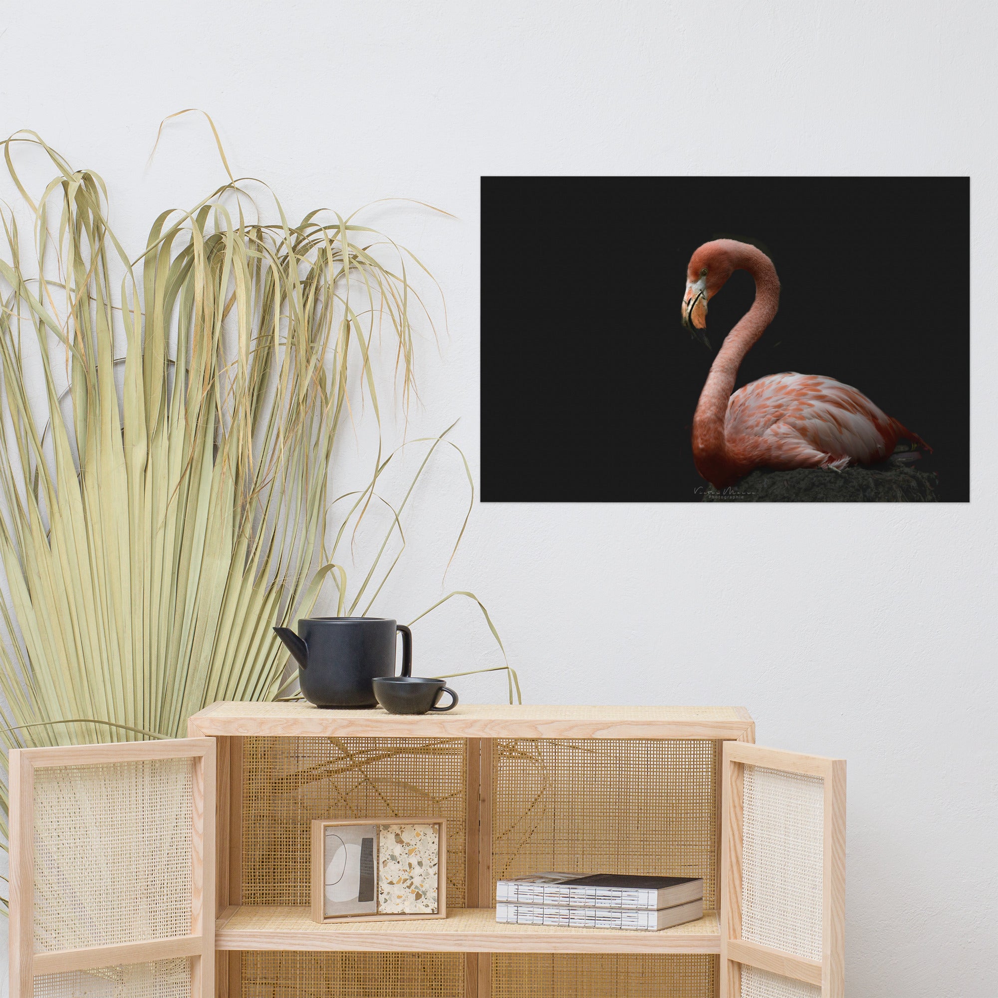 Photographie 'Flamingo', présentant un flamant rose élégant de profil, se détachant majestueusement sur un fond noir profond, capturant subtilement sa grâce et son élégance.