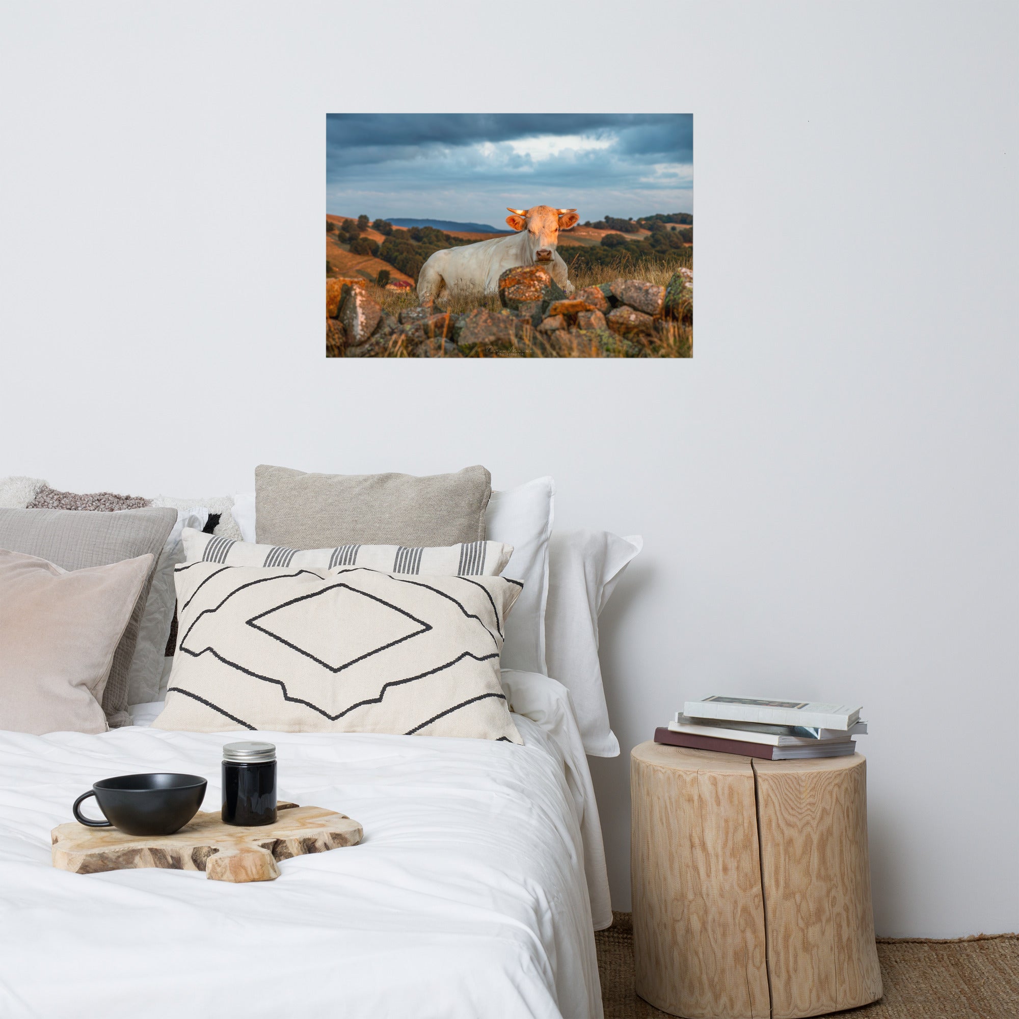 Poster 'Vache à l'Aube' illustrant une vache Charolaise entourée d'herbes hautes avec un fond montagneux au lever du soleil, photographié par Victor Marre.