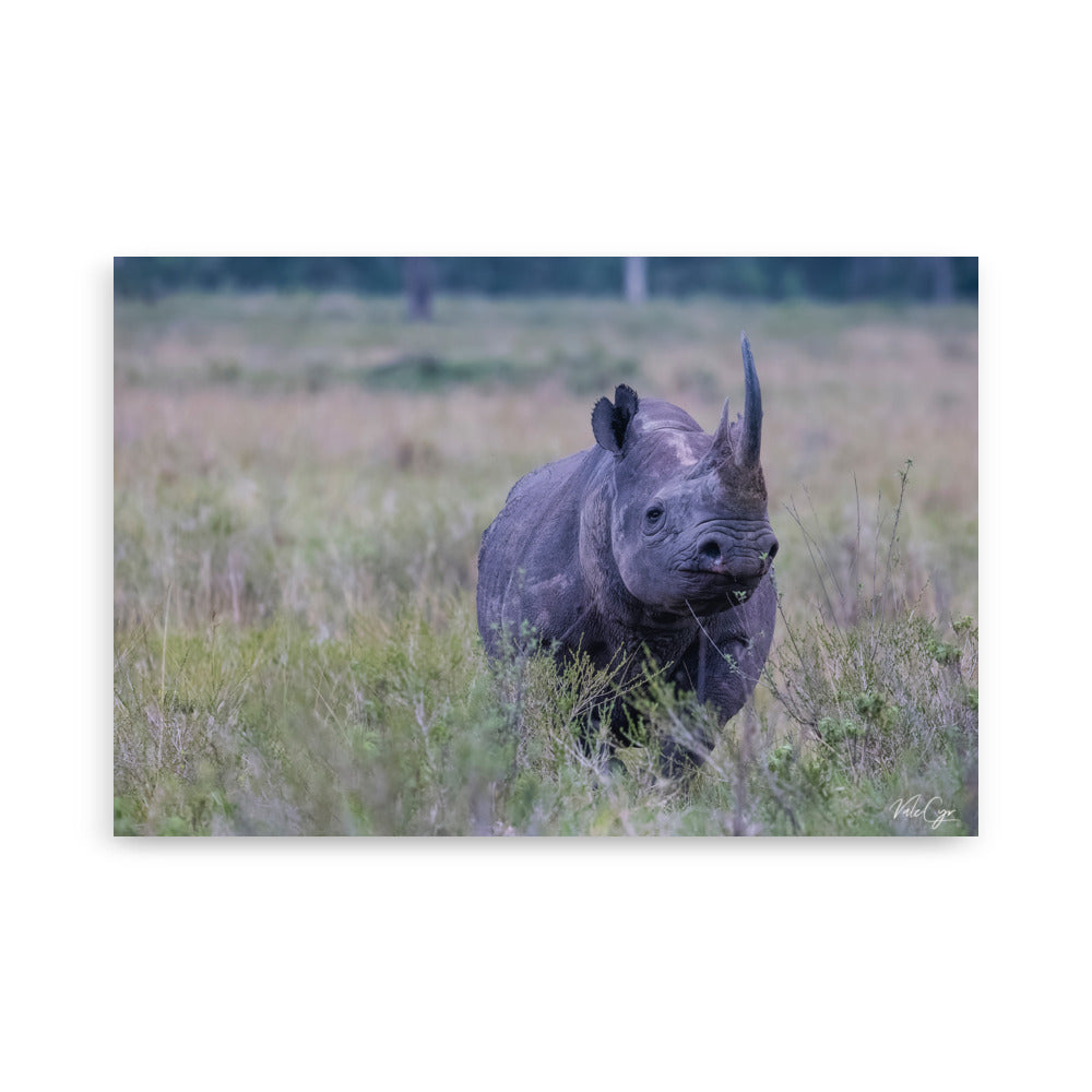 Image impressionnante d'un rhinocéros en silhouette dans la savane africaine, une œuvre de Valerie et Cyril BUFFEL, parfaite pour capturer l'essence de la nature brute et sauvage.