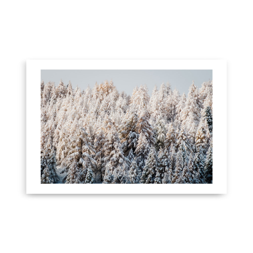 Poster de paysage nature en forêt sous la neige par Léa Scappini