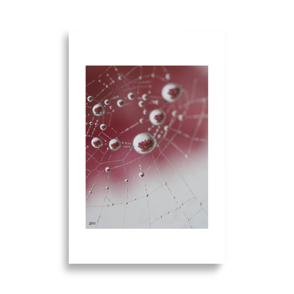 Affiche photo goutte d'eau reflet d'une rose 61x91