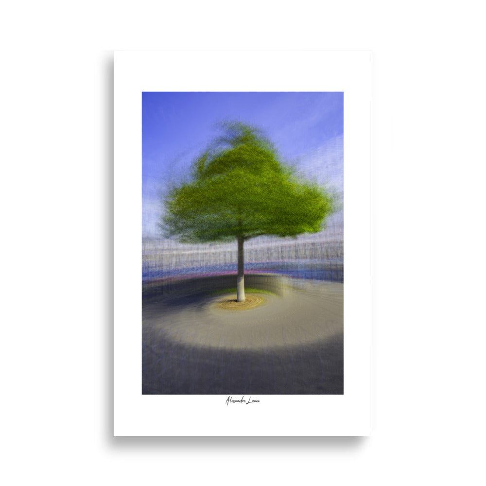 Poster photo - Arbre tournoyant - Alexandre Loaec - Affiche murale 61x91