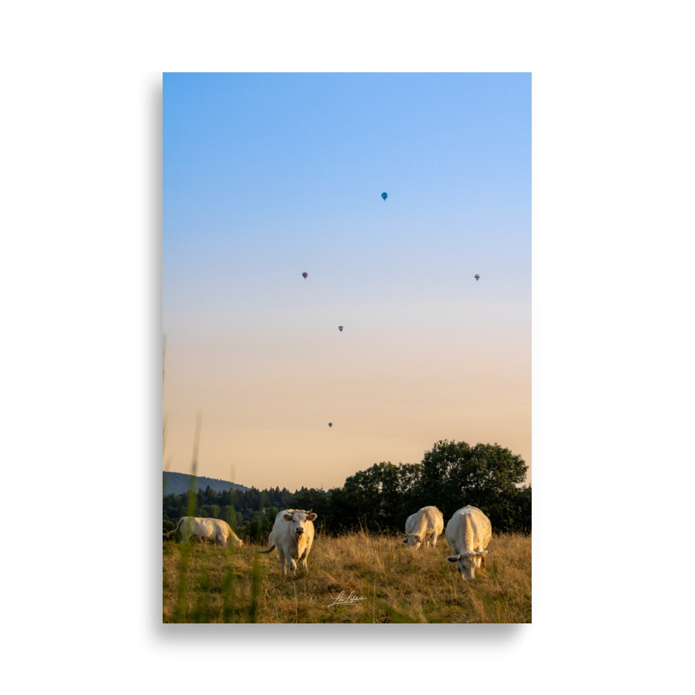 Poster - L'auvergne les vaches et les Montgolfiere - Lea Lefebvre - Affiche murale 61x91