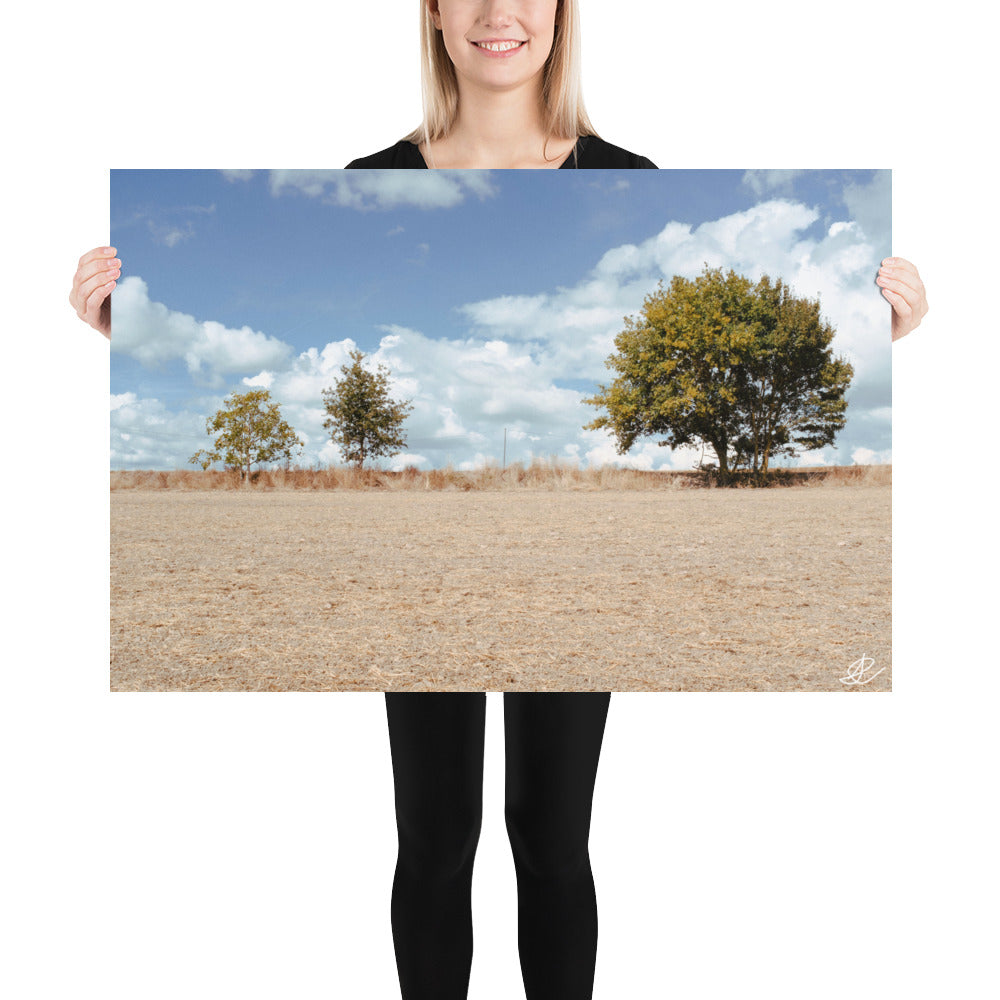 Photographie 'Rythmes Naturels' par Ilan Shoham, mettant en scène une division visuelle fascinante entre la terre et le ciel avec trois arbres distincts et un poteau électrique isolé.