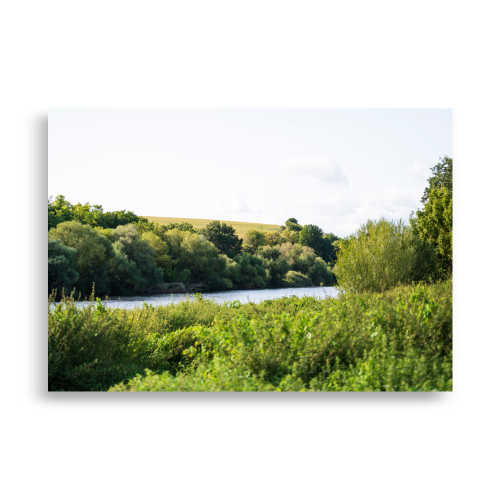 Affiche "Paysages Indre et Loire N02" représentant une belle vue sur la Loire avec des arbres et un champ