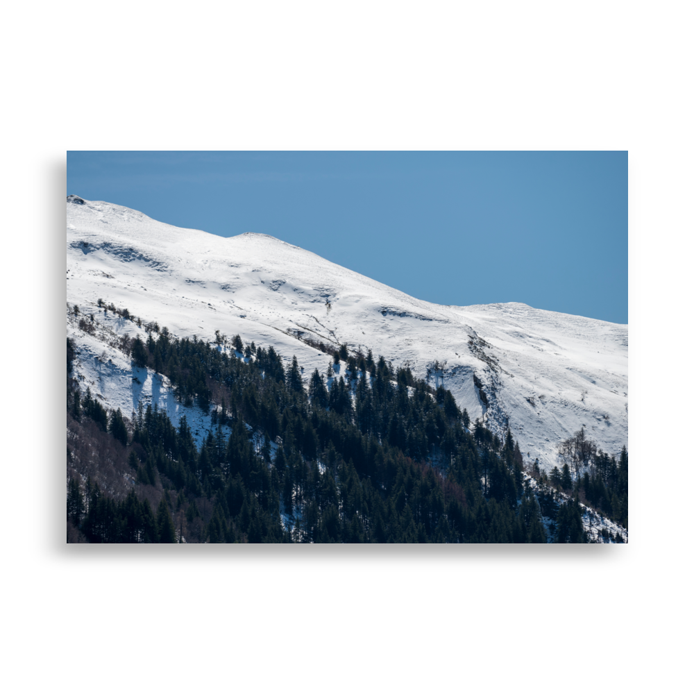 Photographie de montagnes enneigées avec petite forêt de sapins du Cantal.