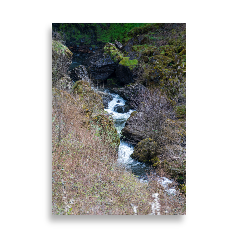 Ruisseau pittoresque qui coule dans le Cantal.