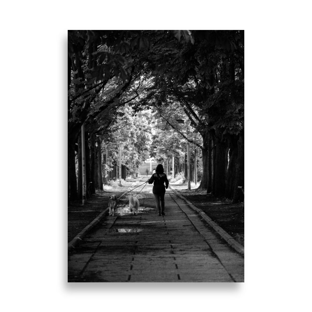 Photo de rue N24 - Promenade sereine d'une femme avec ses chiens sur l'Île aux Cygnes - La Boutique du Poster