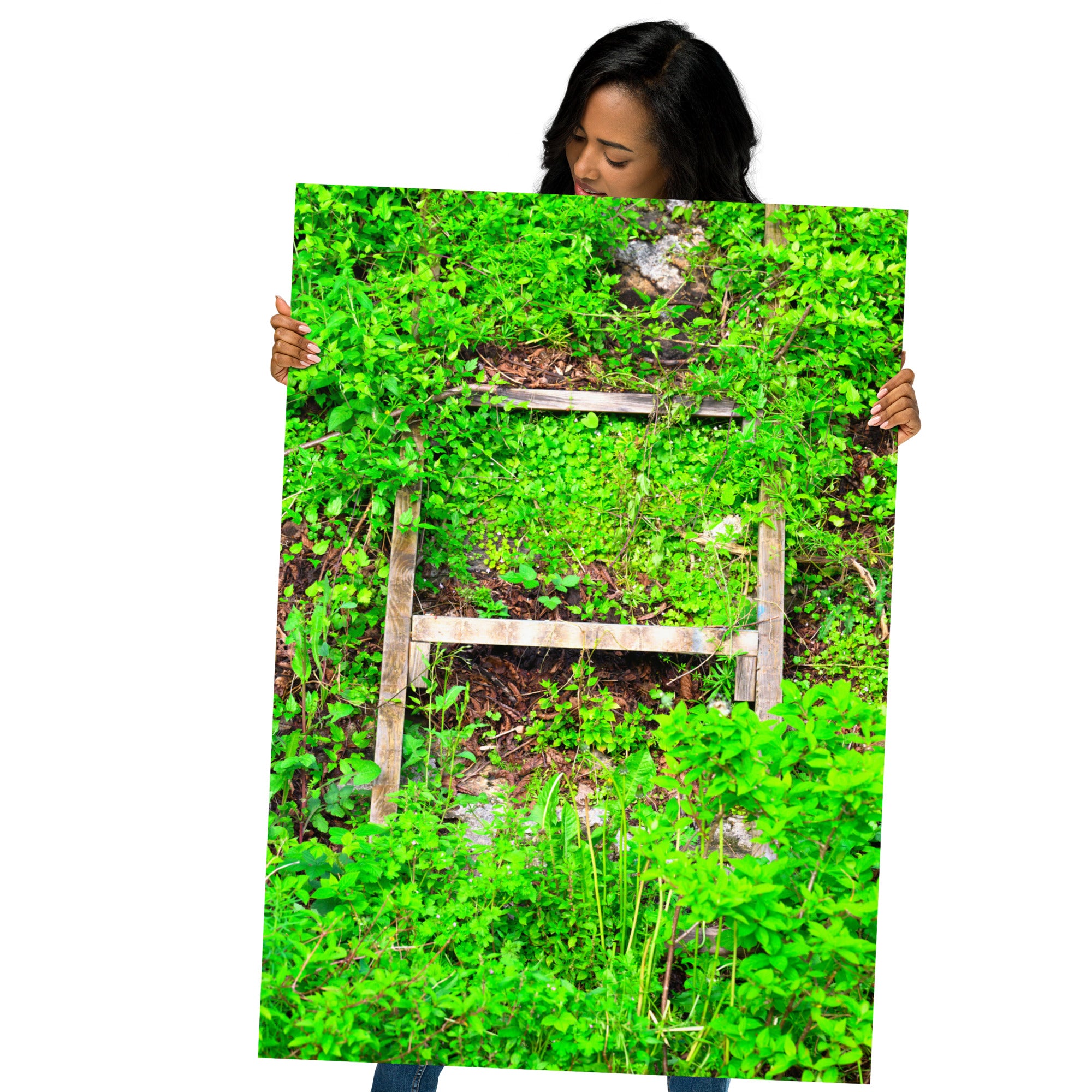 Poster Echelle Verdoyante, une photographie captivante d'une échelle envahie par la verdure, idéal pour les amoureux de la nature et ceux qui cherchent à créer une ambiance naturelle dans leur intérieur.