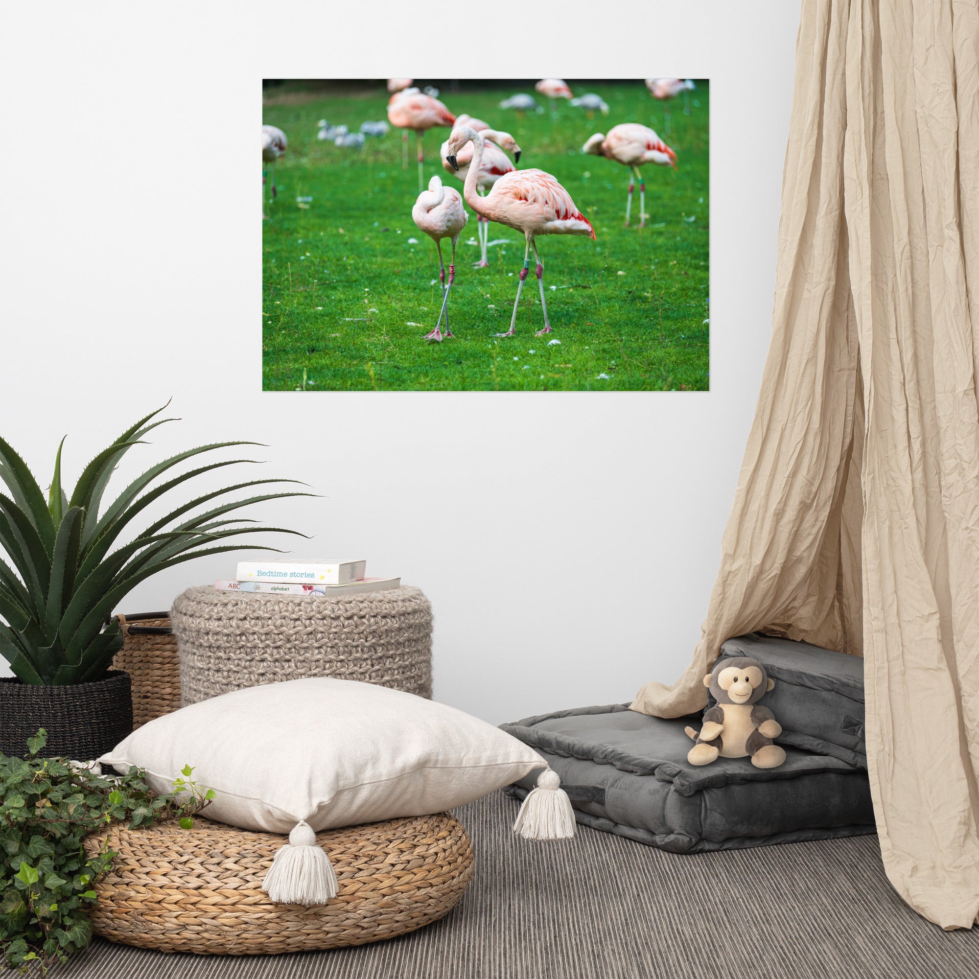 Poster de Flamant rose – Photographie animalière Poster XXL.