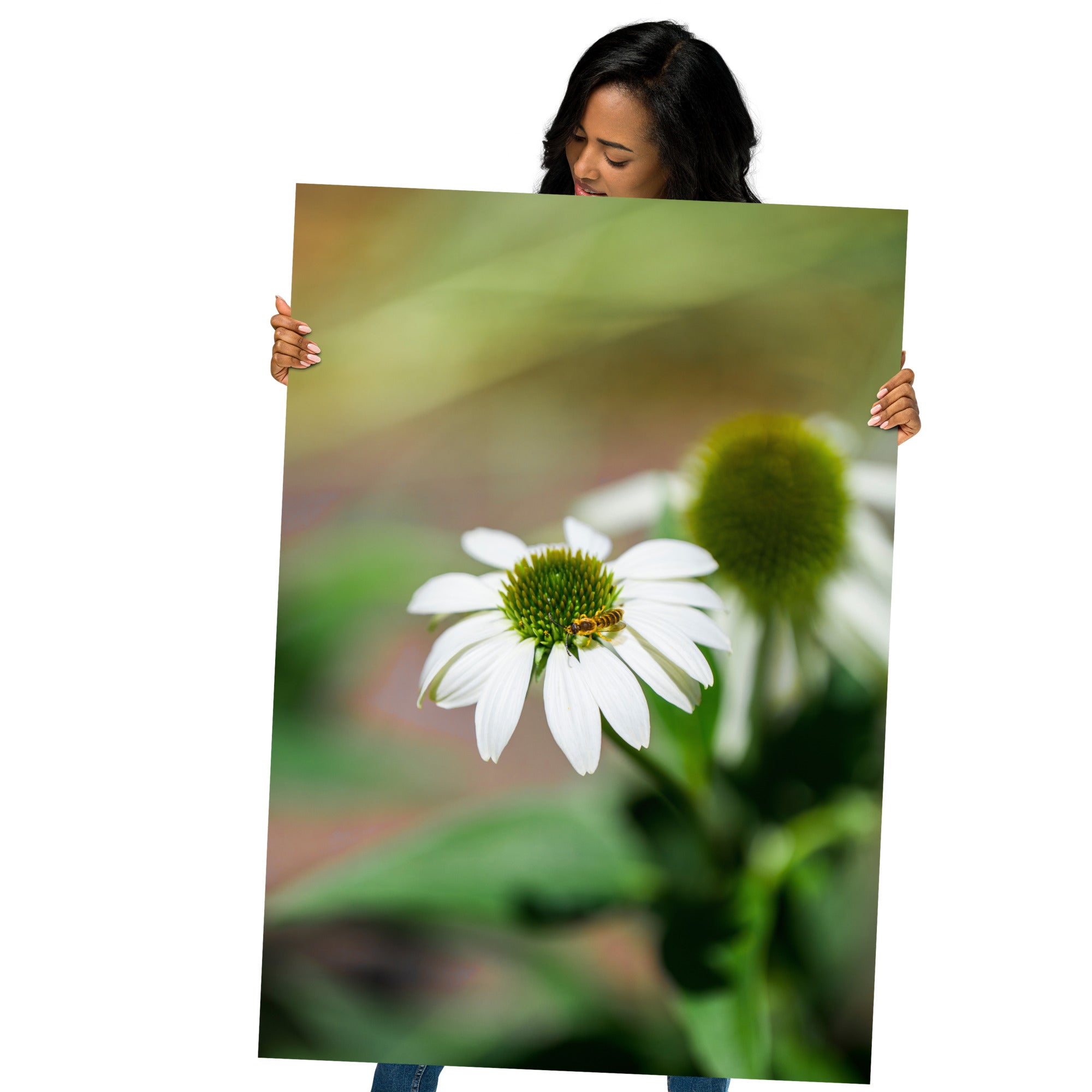 Poster 'Nature Éphémère' représentant une guêpe butinant le pollen d'une marguerite