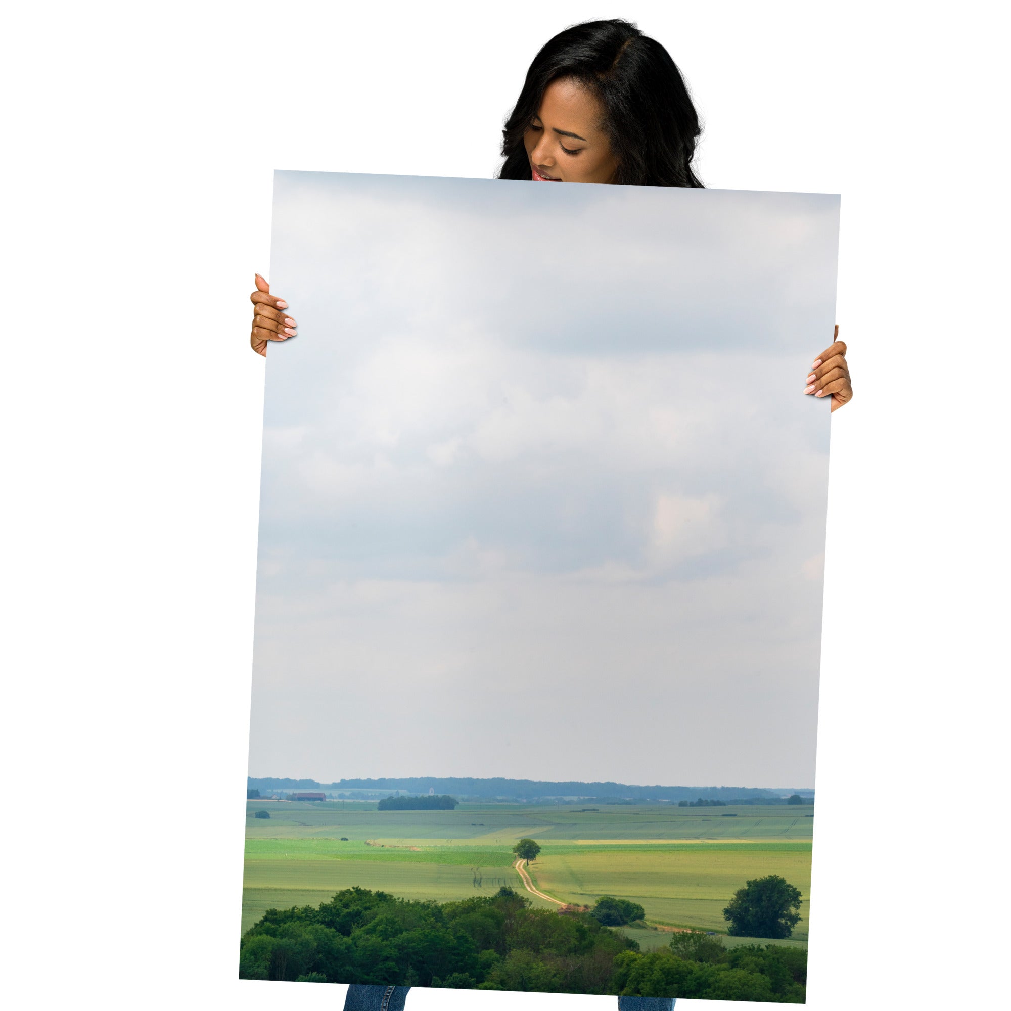 Poster 'Provins' présentant une photographie d'un paysage français, un champ et une forêt au loin, vue depuis le sommet du château de Provins.