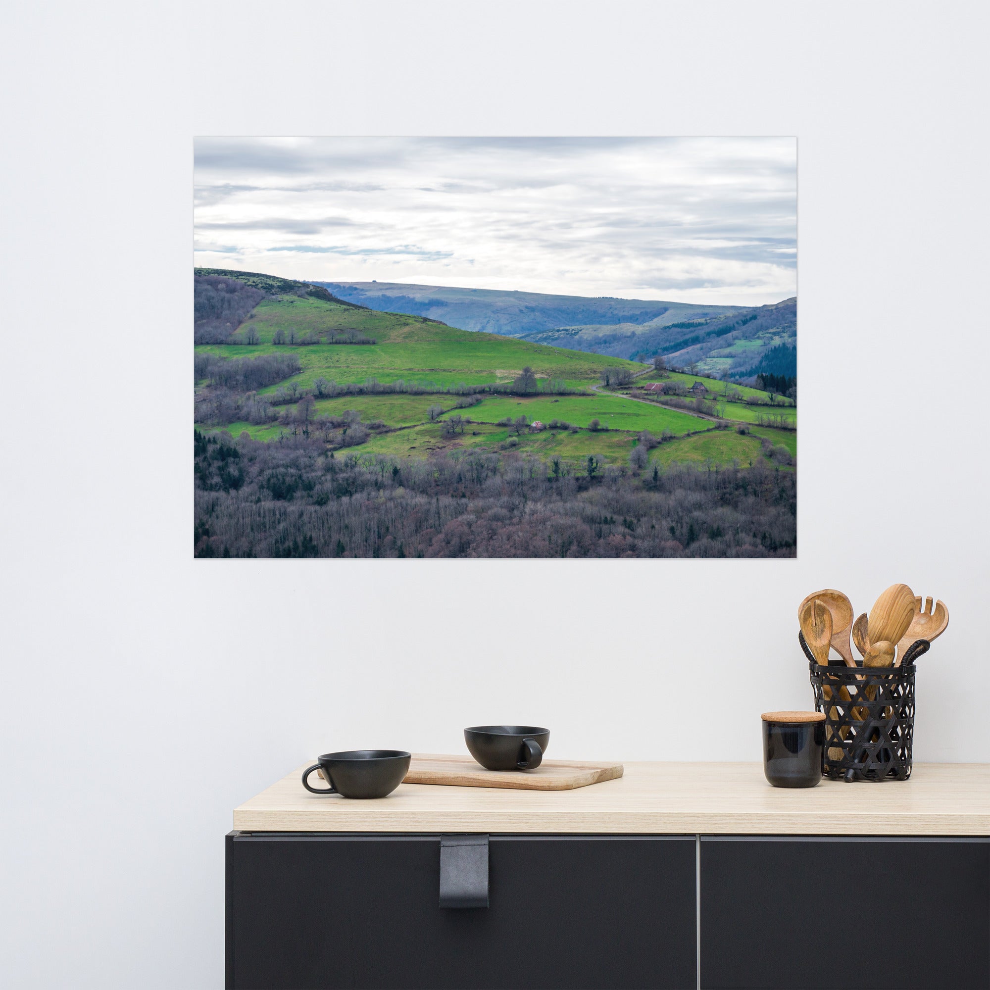 Paysage du Cantal : forêt dense à côté de prairies verdoyantes en haute altitude.