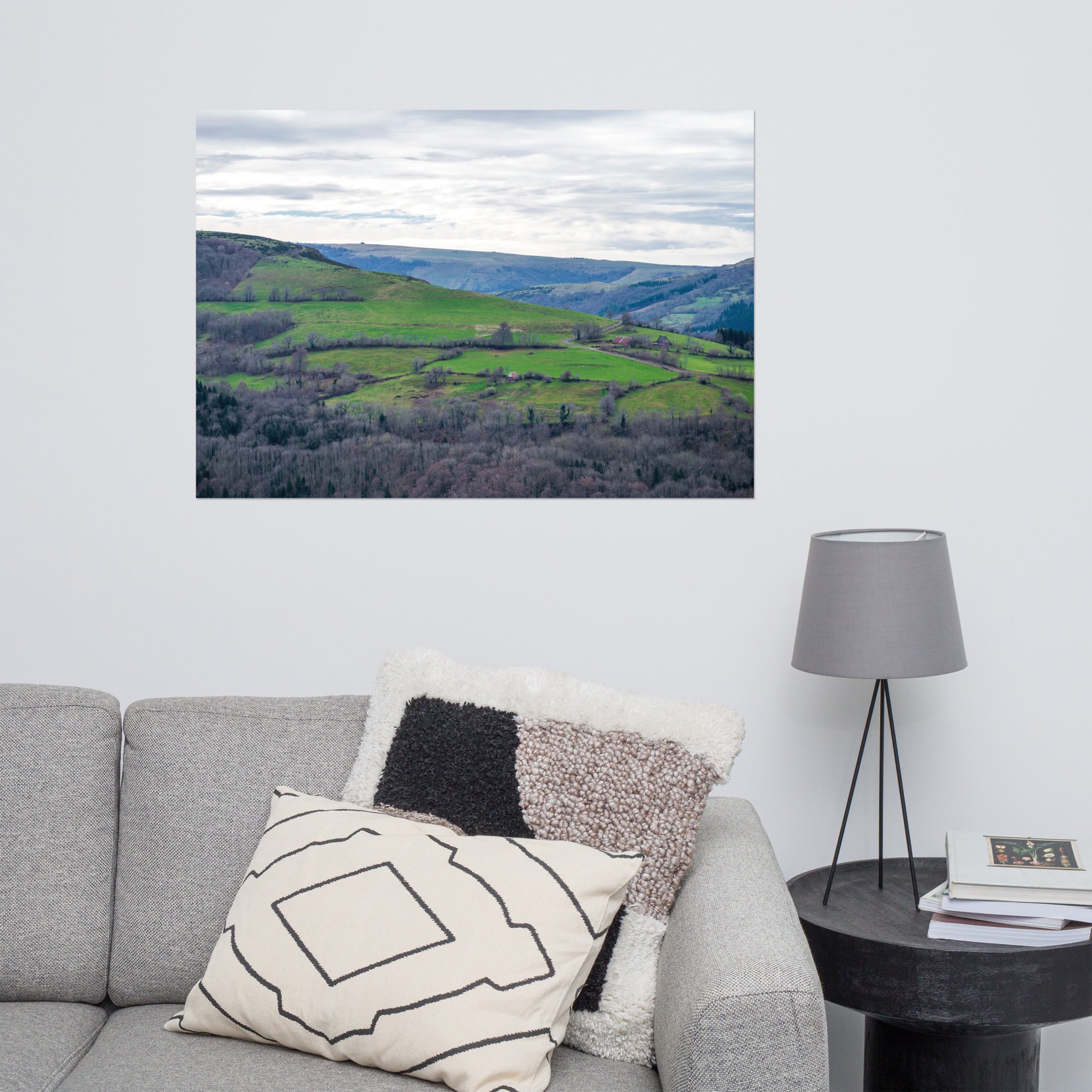 Paysage du Cantal : forêt dense à côté de prairies verdoyantes en haute altitude.