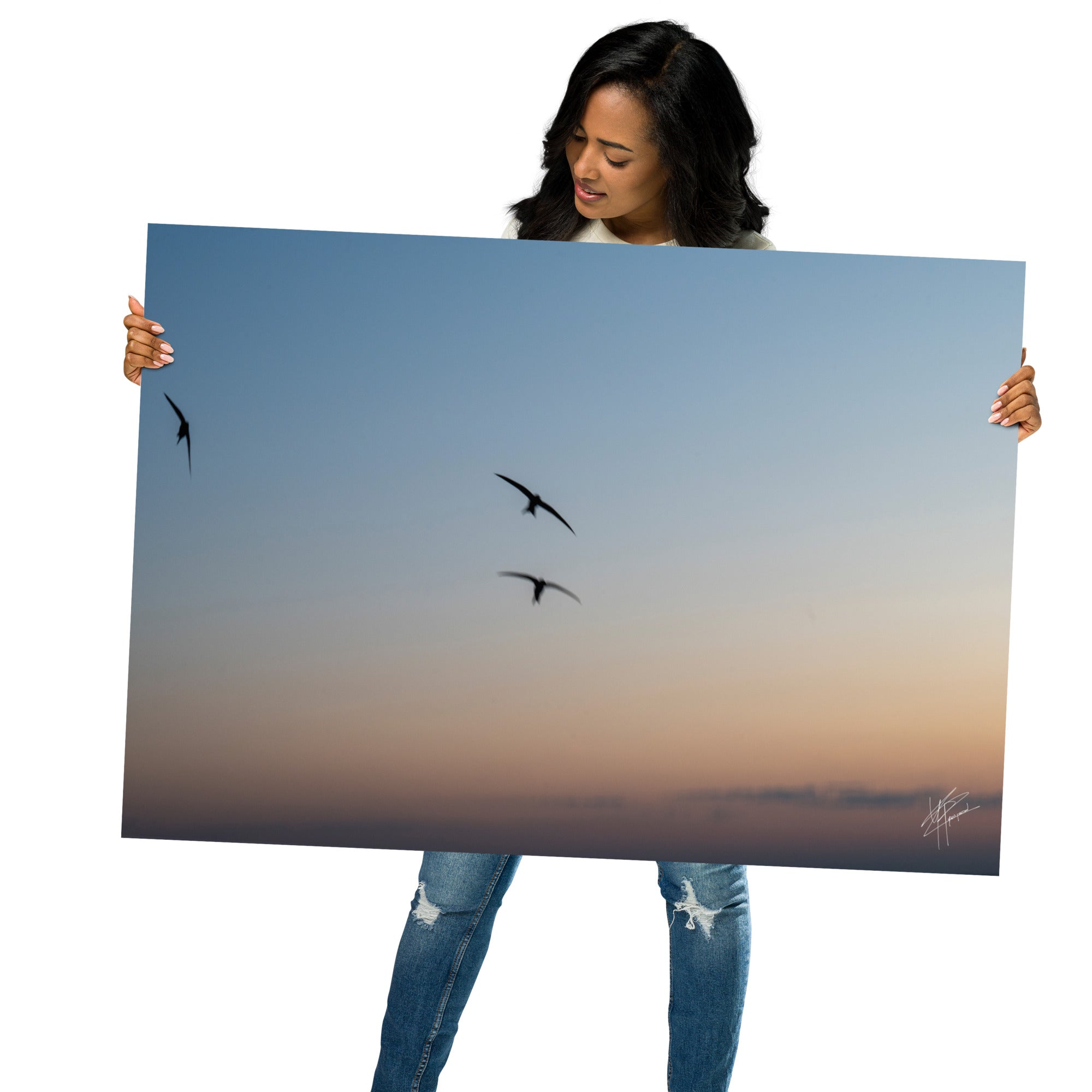 Trois oiseaux volant dans un ciel aux teintes de bleu, orange et jaune.