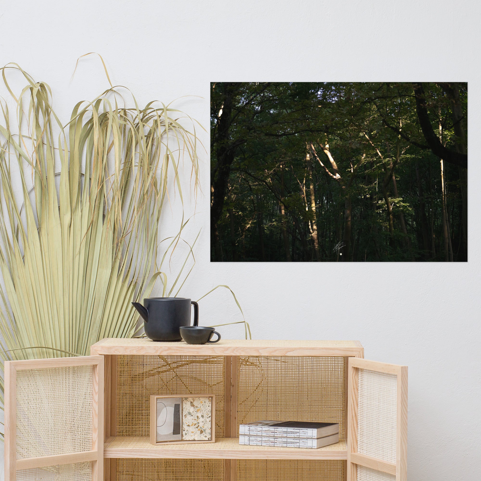 Photographie envoûtante d'une forêt dense, avec des rayons du soleil perçant la canopée, éclairant le sol forestier et les feuilles verdoyantes. Une évocation de la sérénité et de la beauté naturelle.